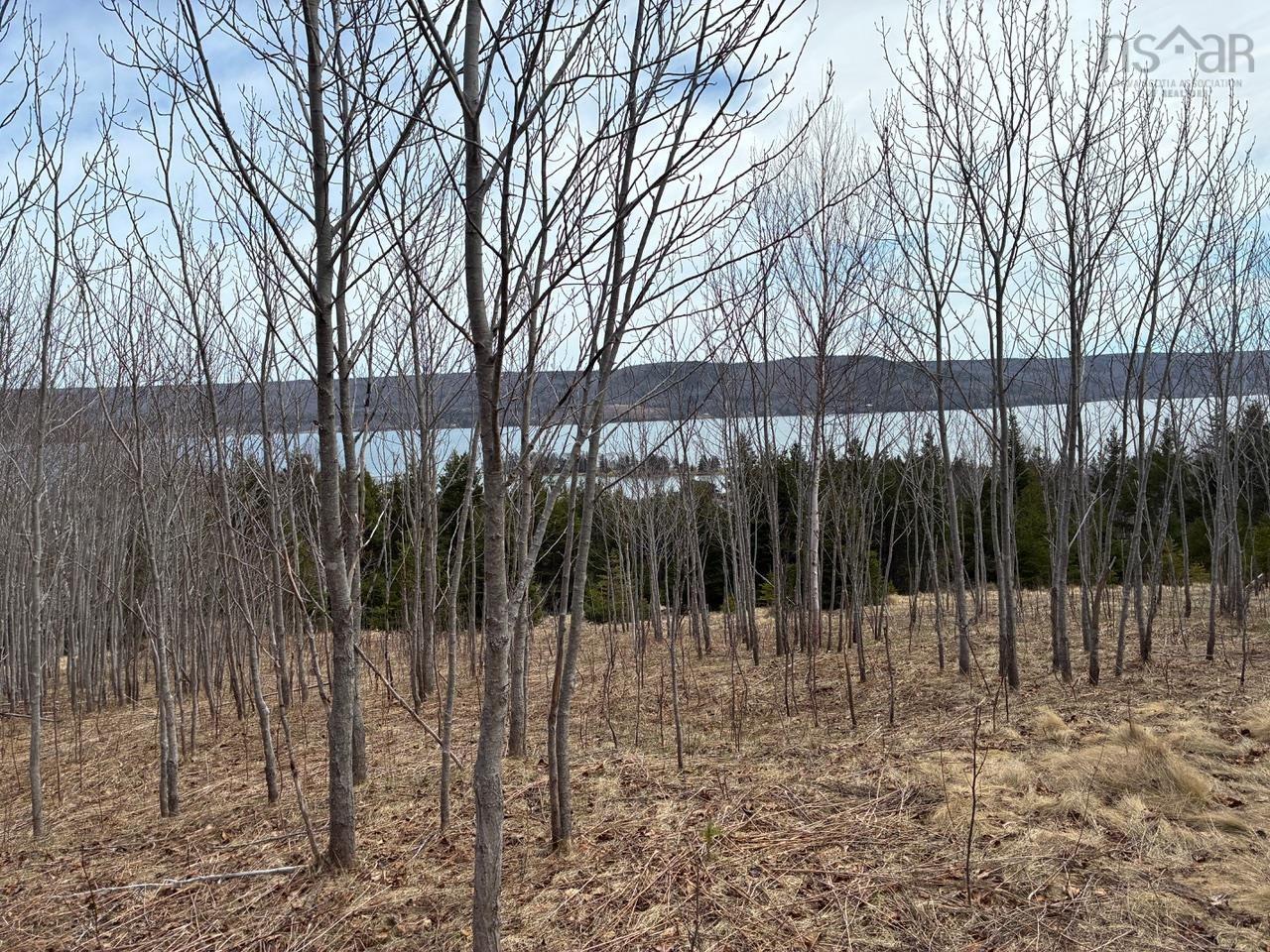 $195,000.00: Eskasoni Road, Northside East Bay
