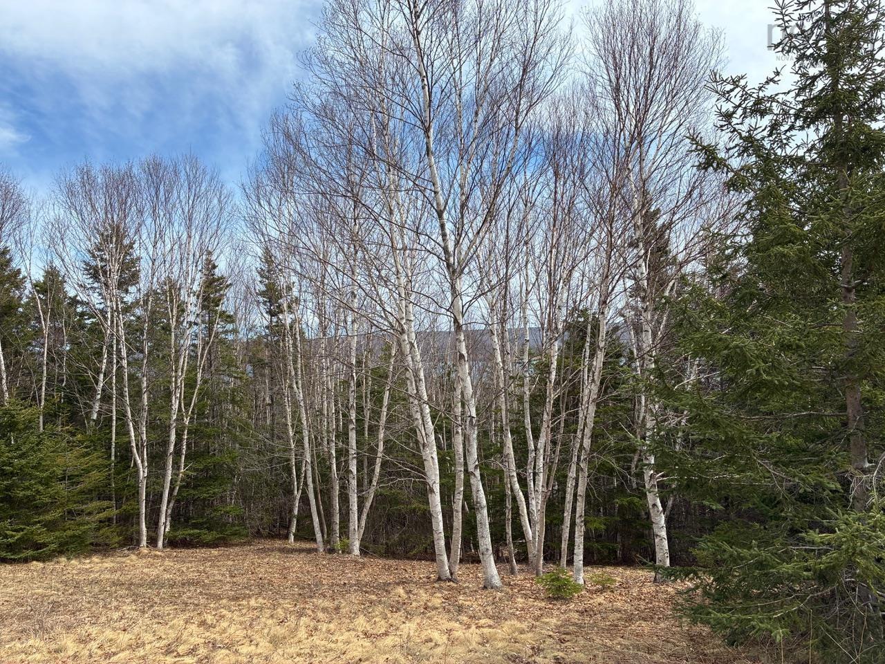 $195,000.00: Eskasoni Road, Northside East Bay