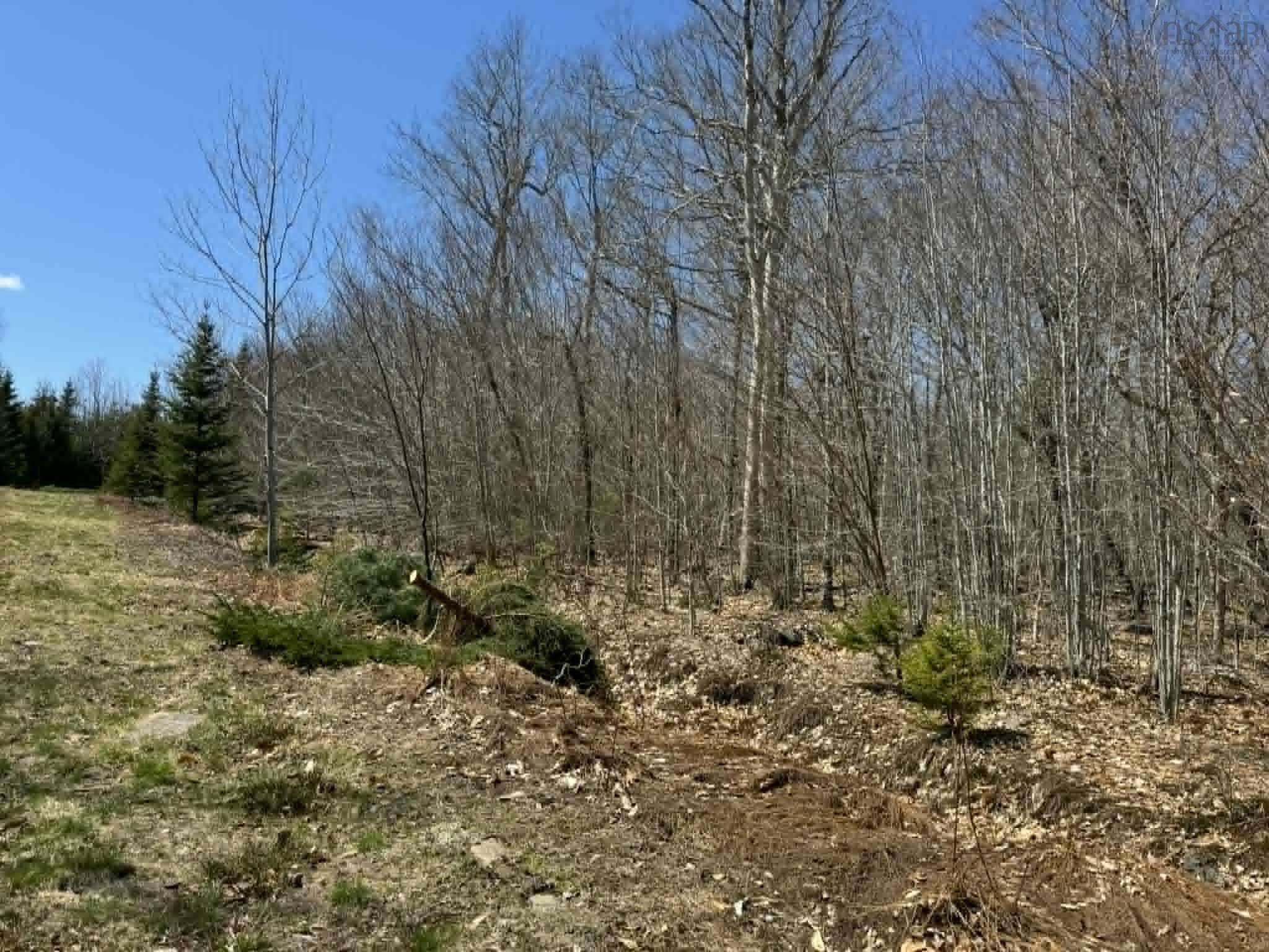 Lot R-10 Kill Dog Cove Road, Parkdale, NS (MLS 202609739)