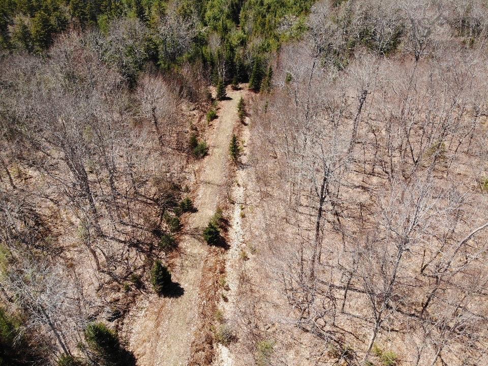 $41,500.00: Lot R-10 Kill Dog Cove Road, Parkdale