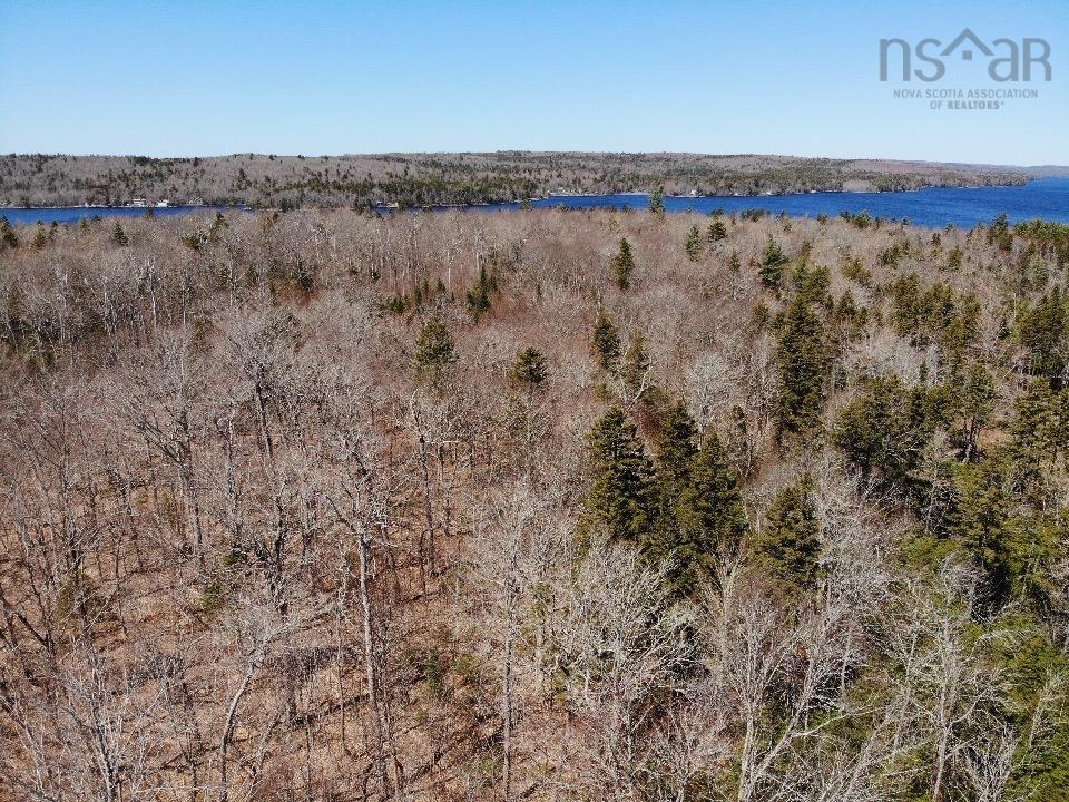 Lot R-11 Kill Dog Cove Road, Parkdale, NS (MLS 202609742)