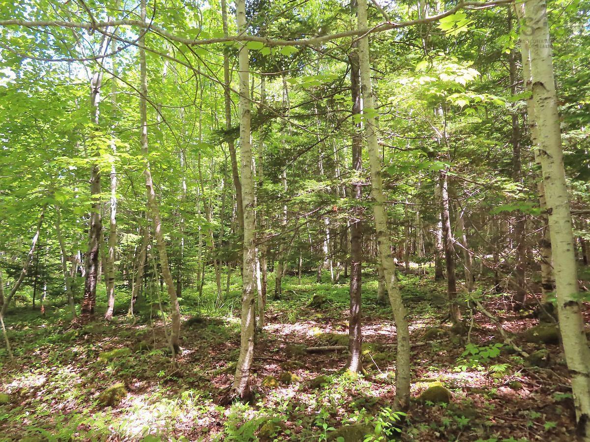 $32,500.00: Lot 13 Belle View Lane, Malagawash