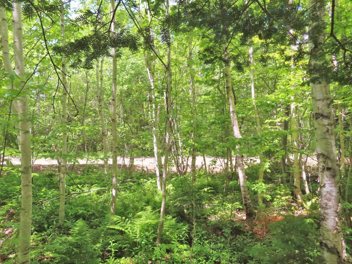 $32,500.00: Lot 13 Belle View Lane, Malagawash