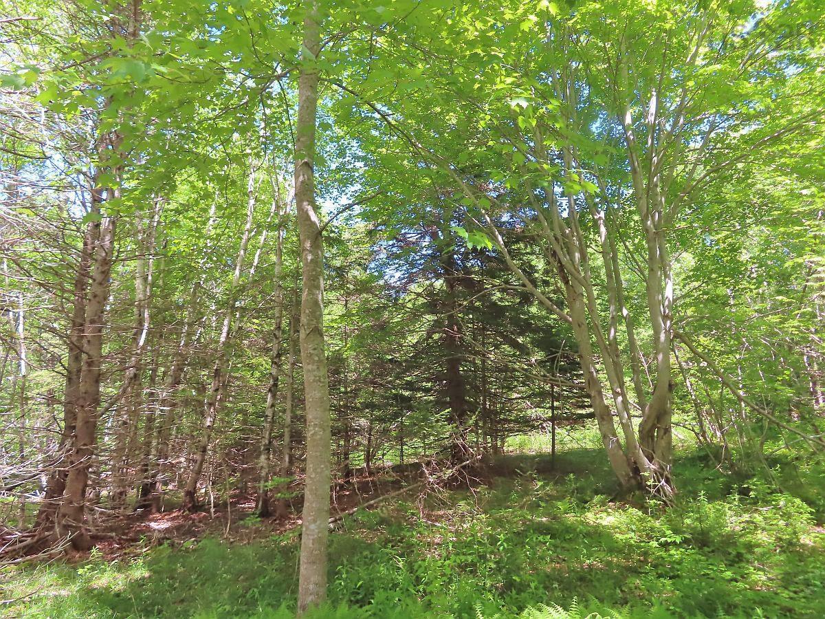 $32,500.00: Lot 13 Belle View Lane, Malagawash
