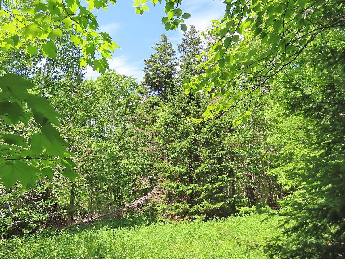 $32,500.00: Lot 13 Belle View Lane, Malagawash