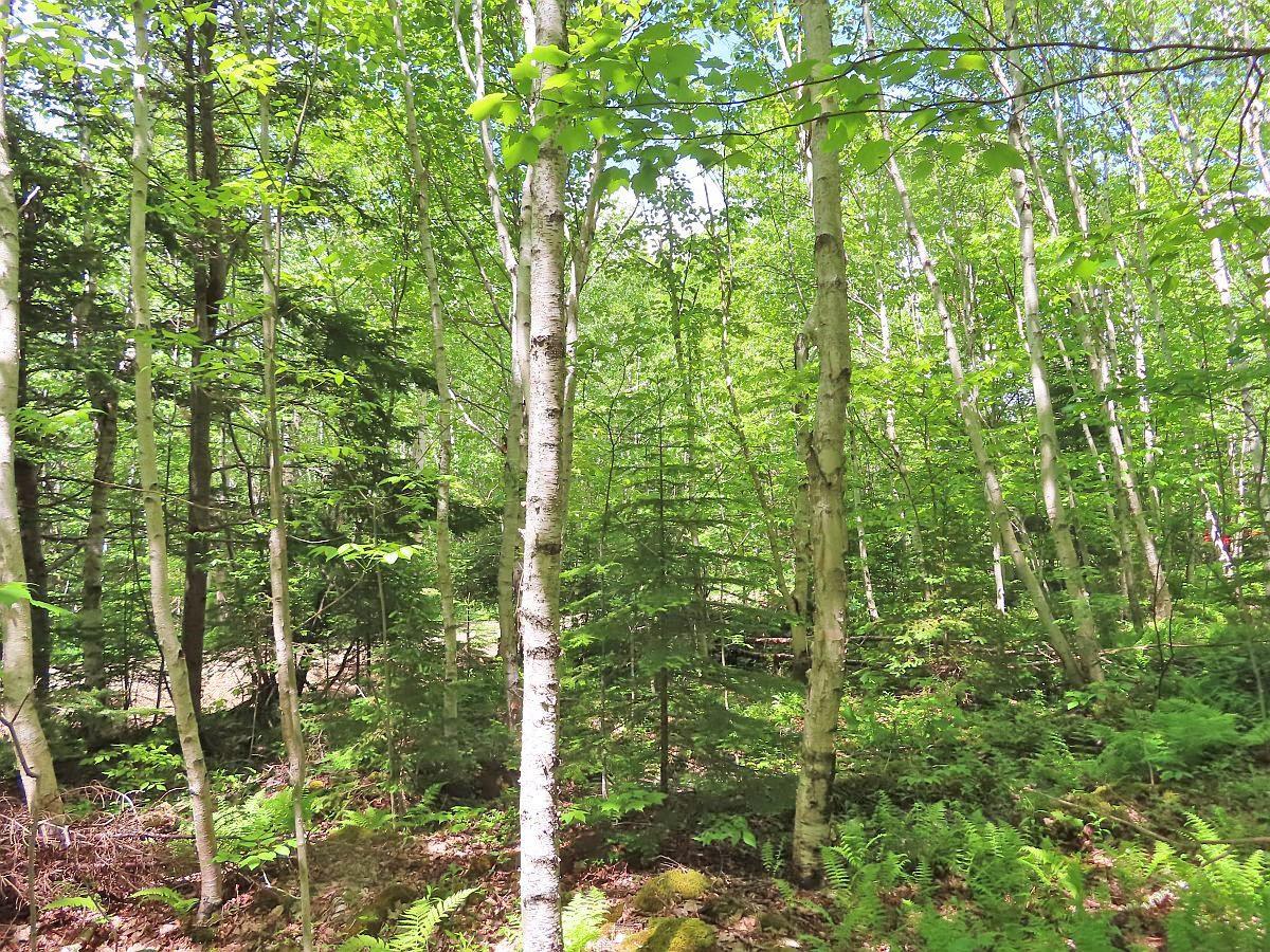 $32,500.00: Lot 13 Belle View Lane, Malagawash