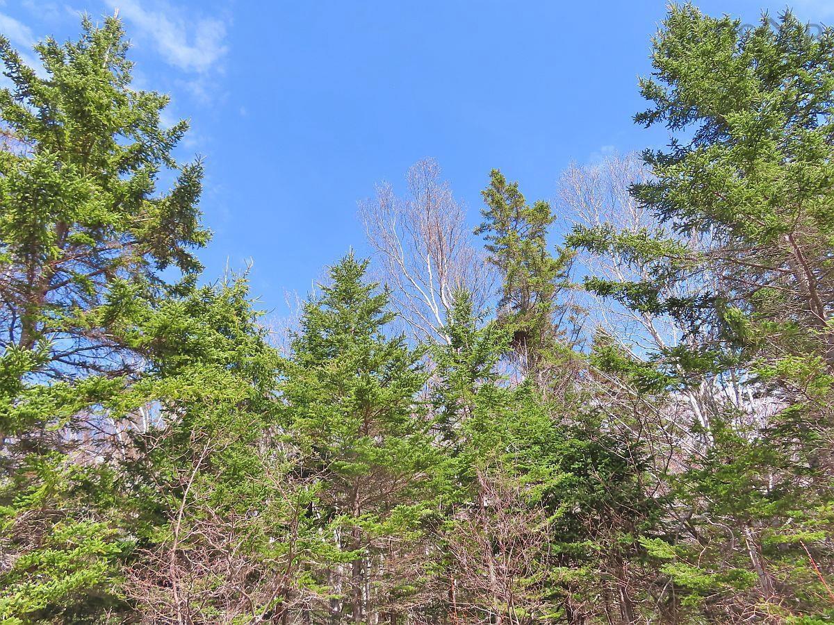 $32,500.00: Lot 13 Belle View Lane, Malagawash
