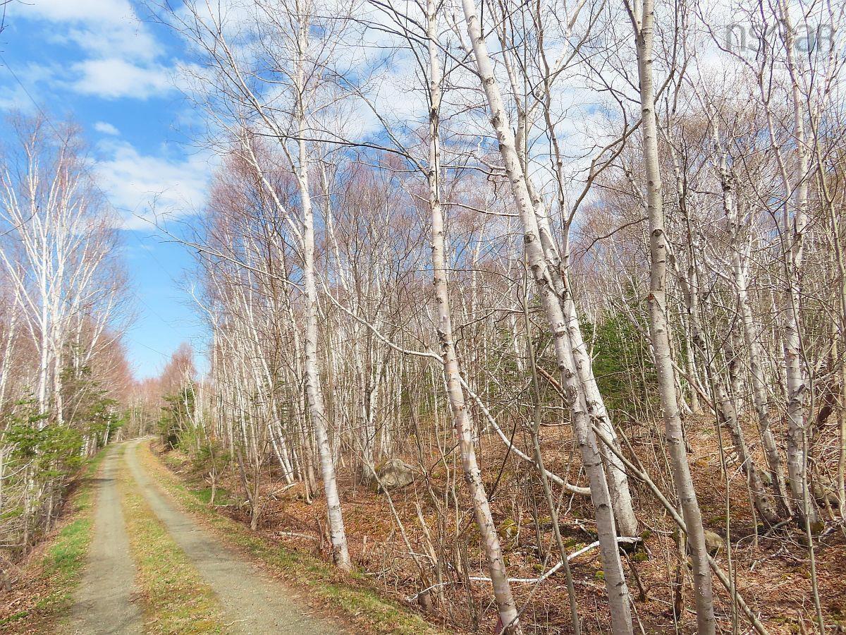 $32,500.00: Lot 13 Belle View Lane, Malagawash