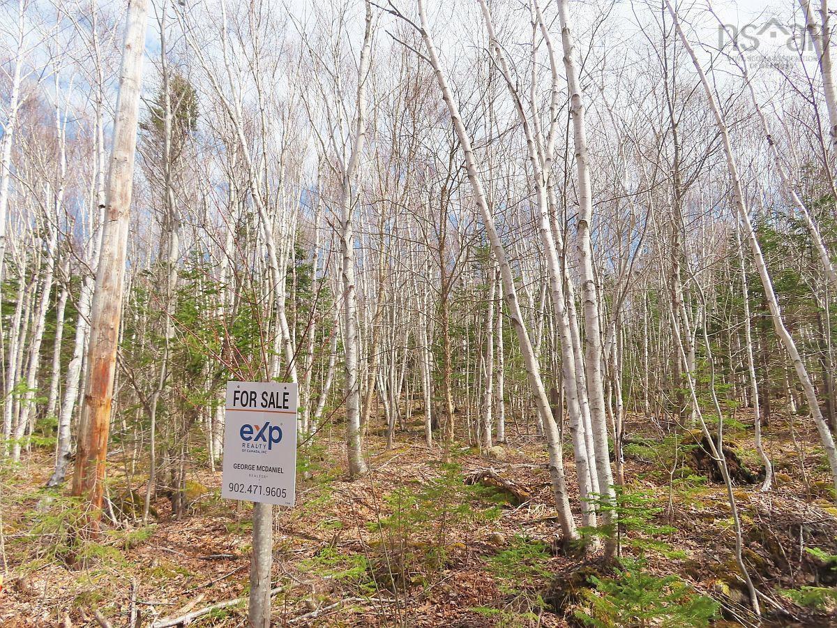 $32,500.00: Lot 13 Belle View Lane, Malagawash
