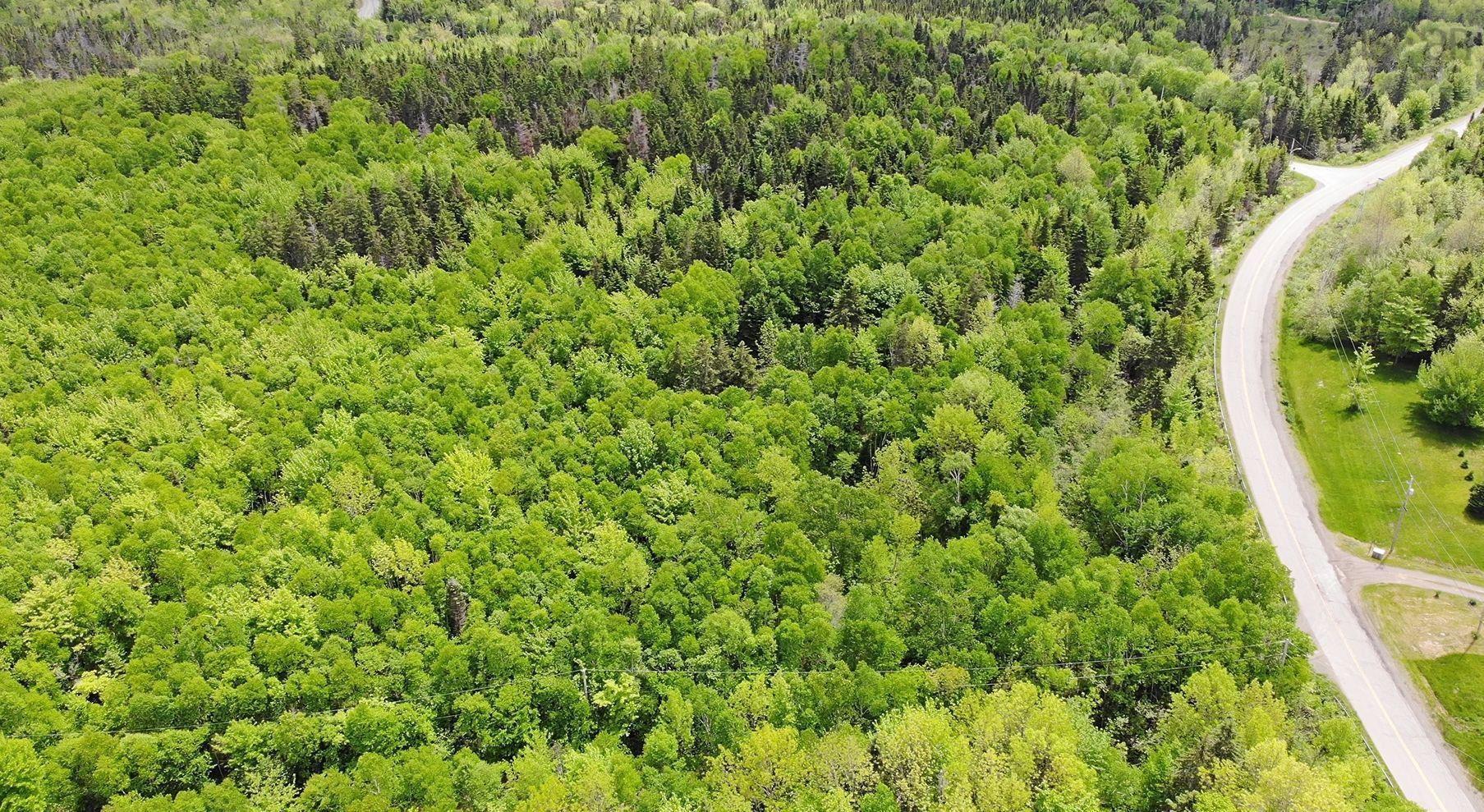 $32,500.00: Lot 13 Belle View Lane, Malagawash