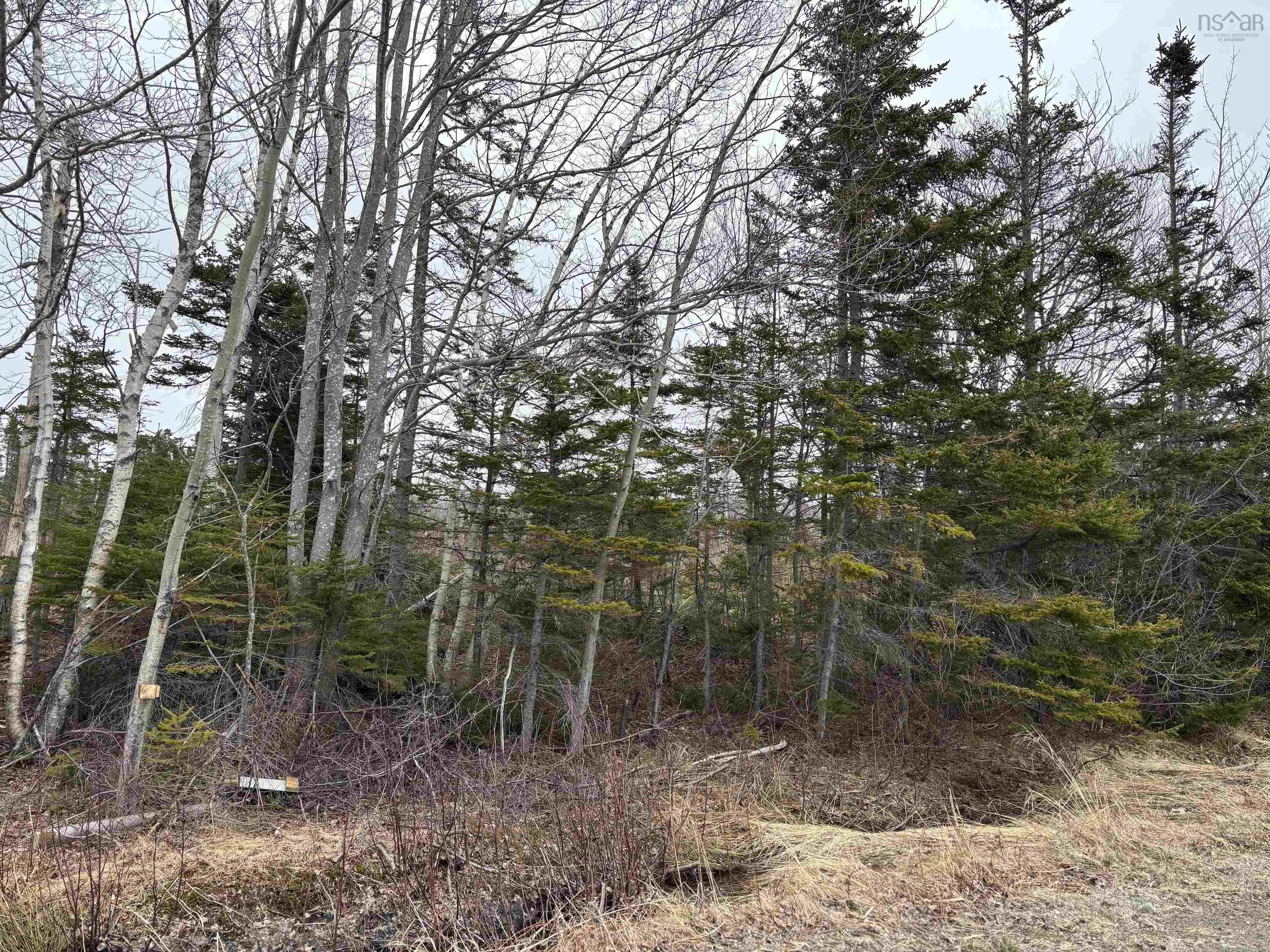 $68,000.00: St. James Road, Big Bras D
