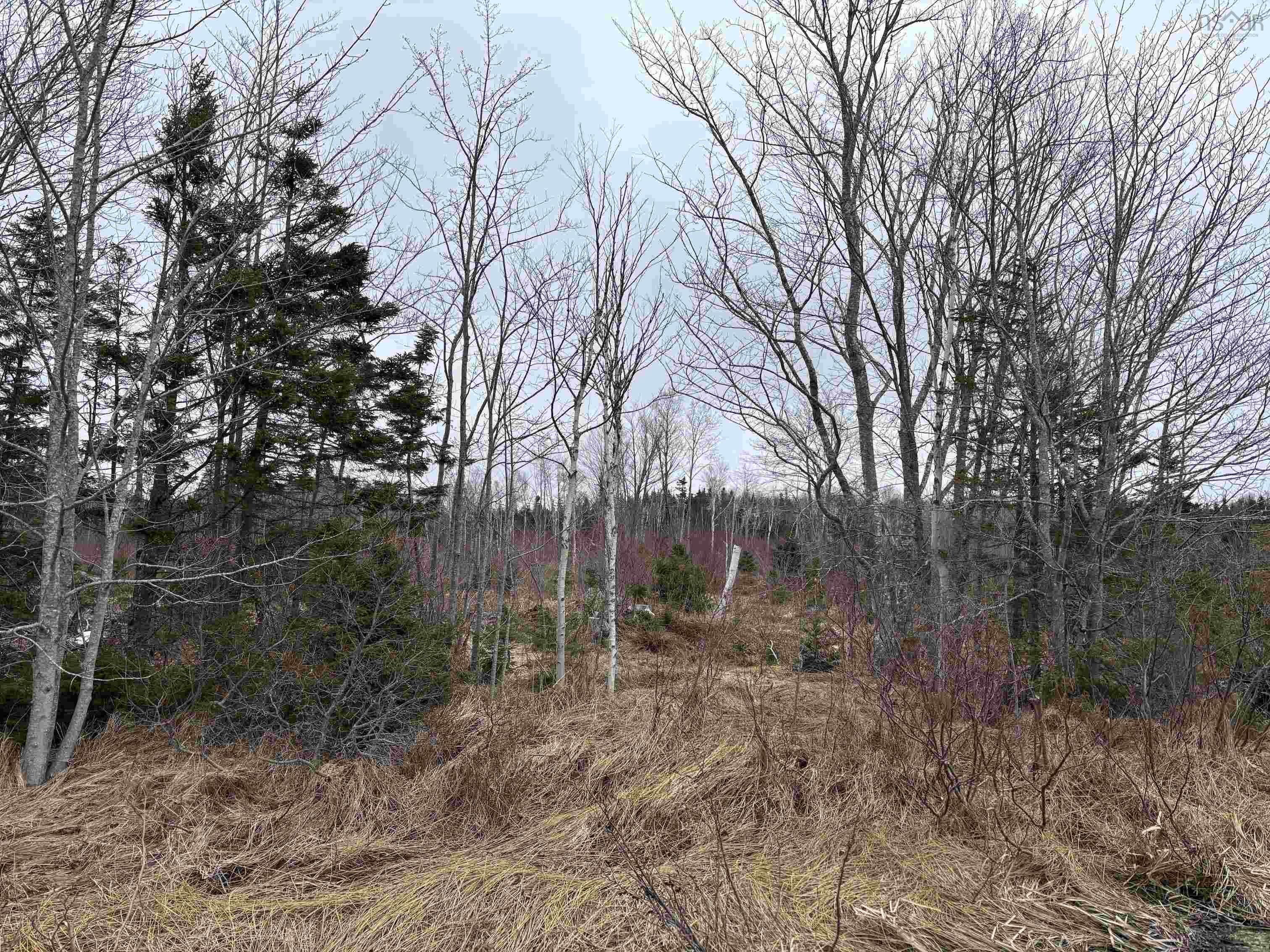 $68,000.00: St. James Road, Big Bras D