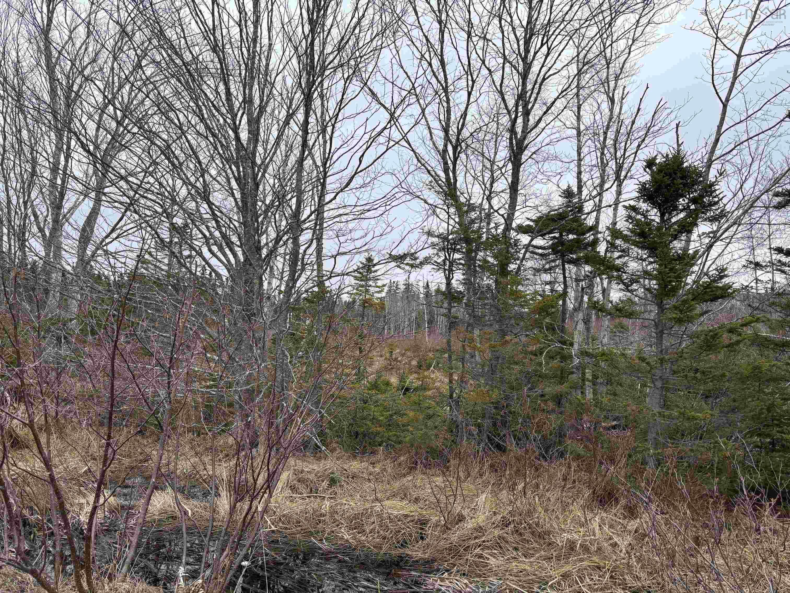 $68,000.00: St. James Road, Big Bras D