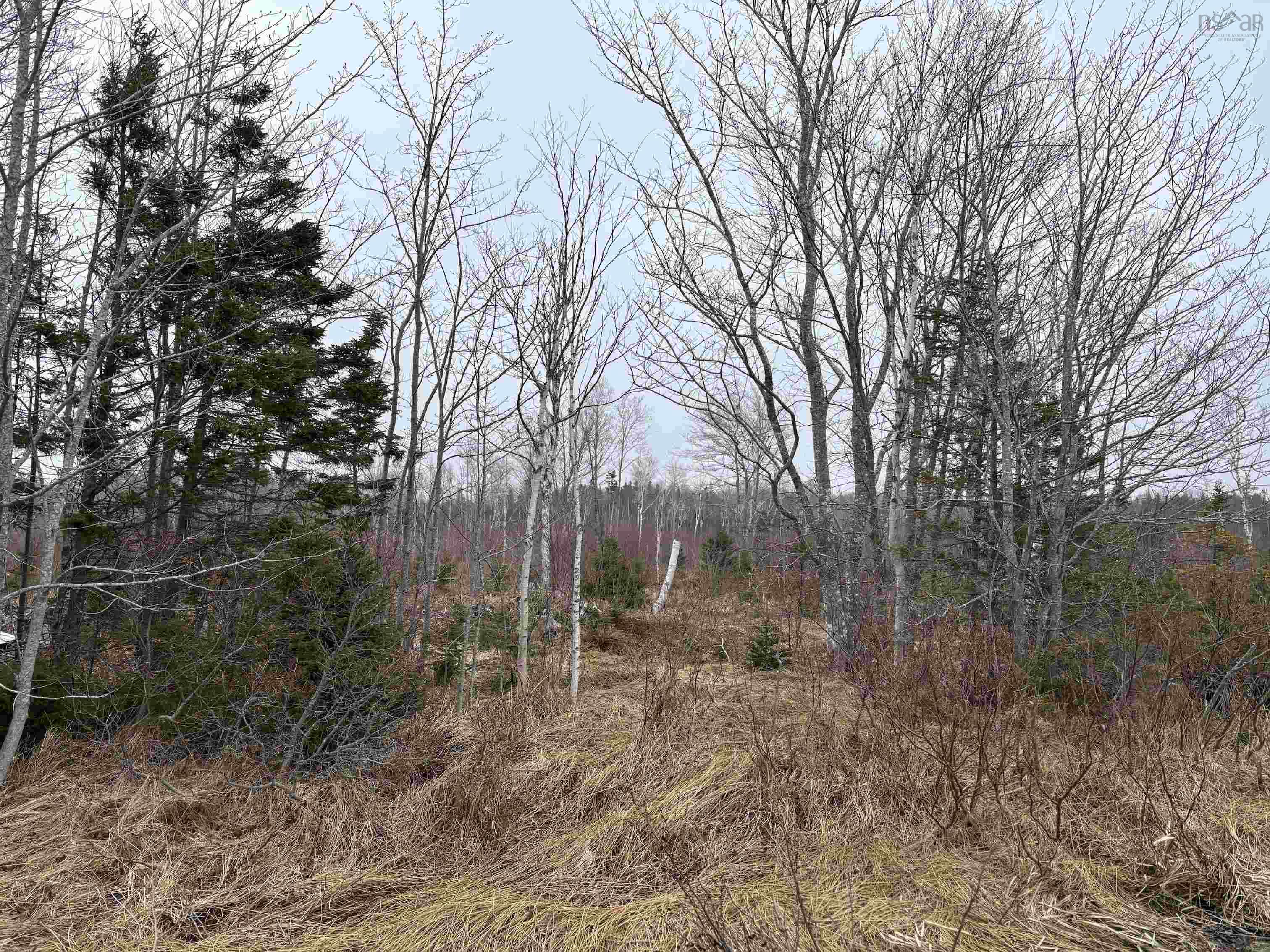 $68,000.00: St. James Road, Big Bras D