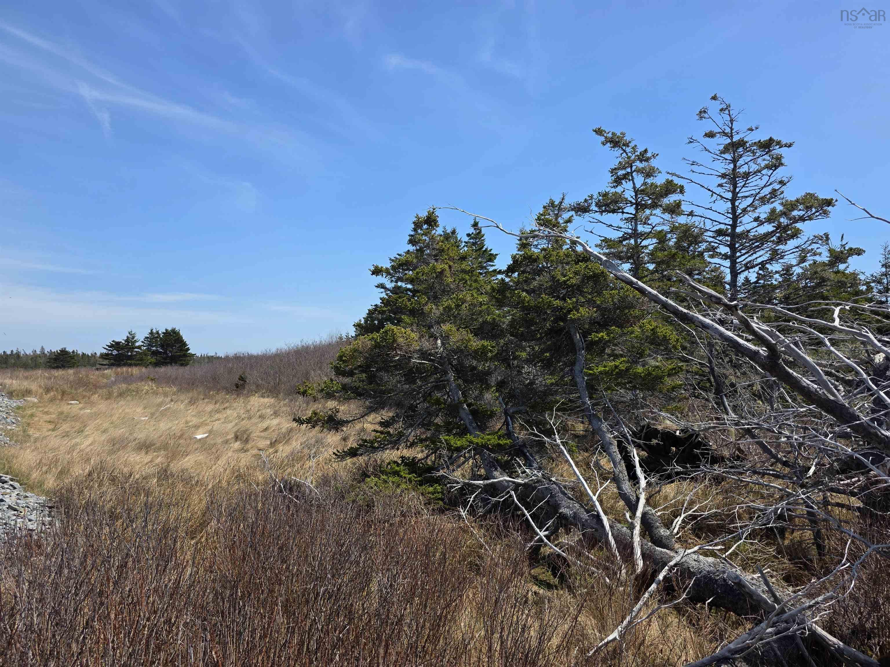 $40,000.00: vacant land Highway 335 Highway, West Pubnico
