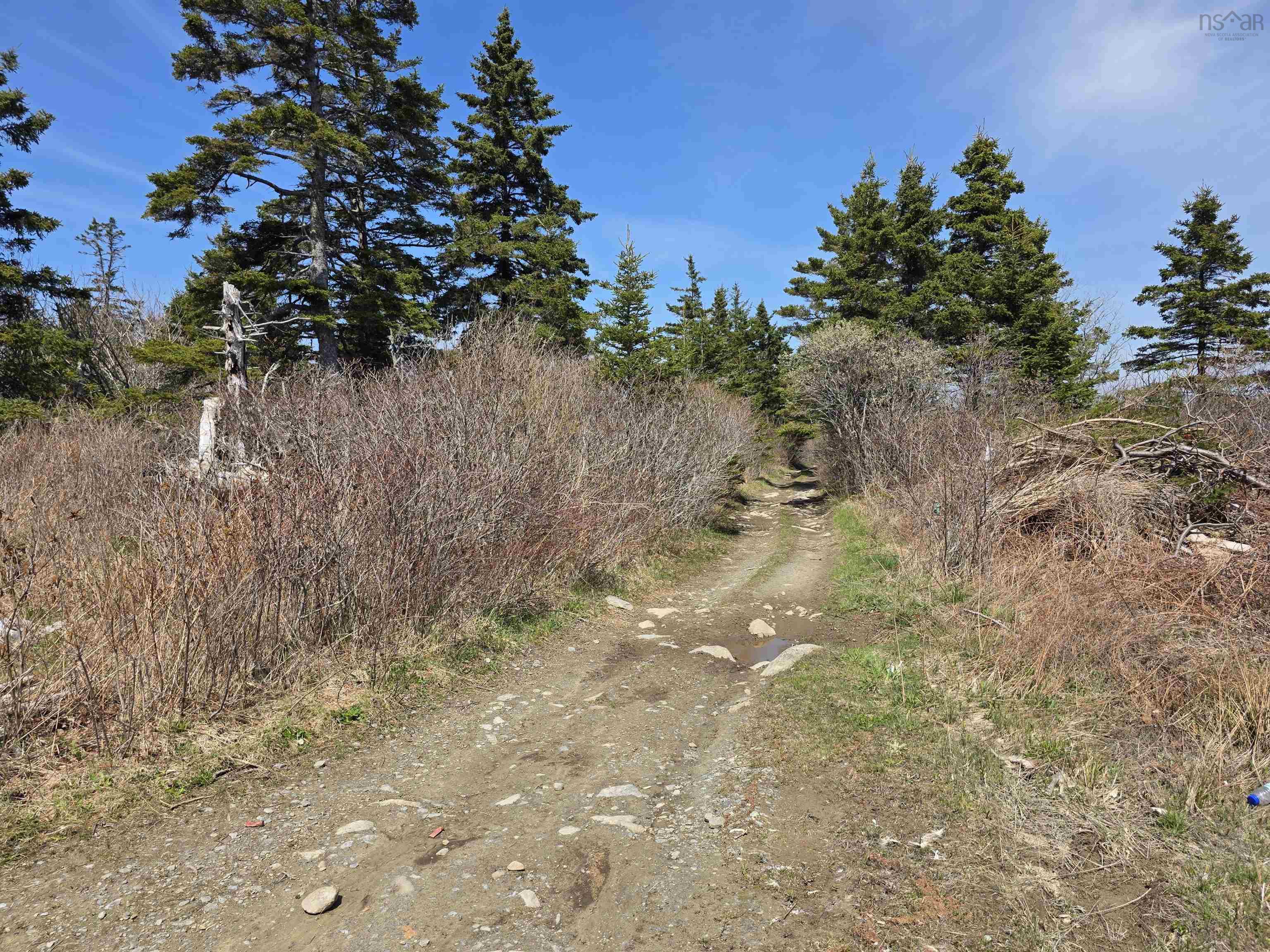 $40,000.00: vacant land Highway 335 Highway, West Pubnico