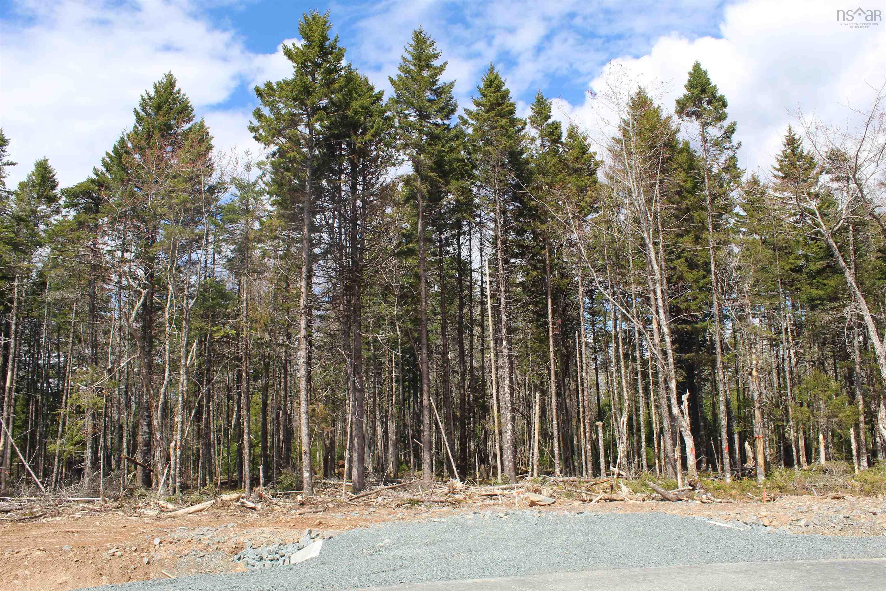 $260,000.00: Lot 106 Jabaru Lane, Timberlea