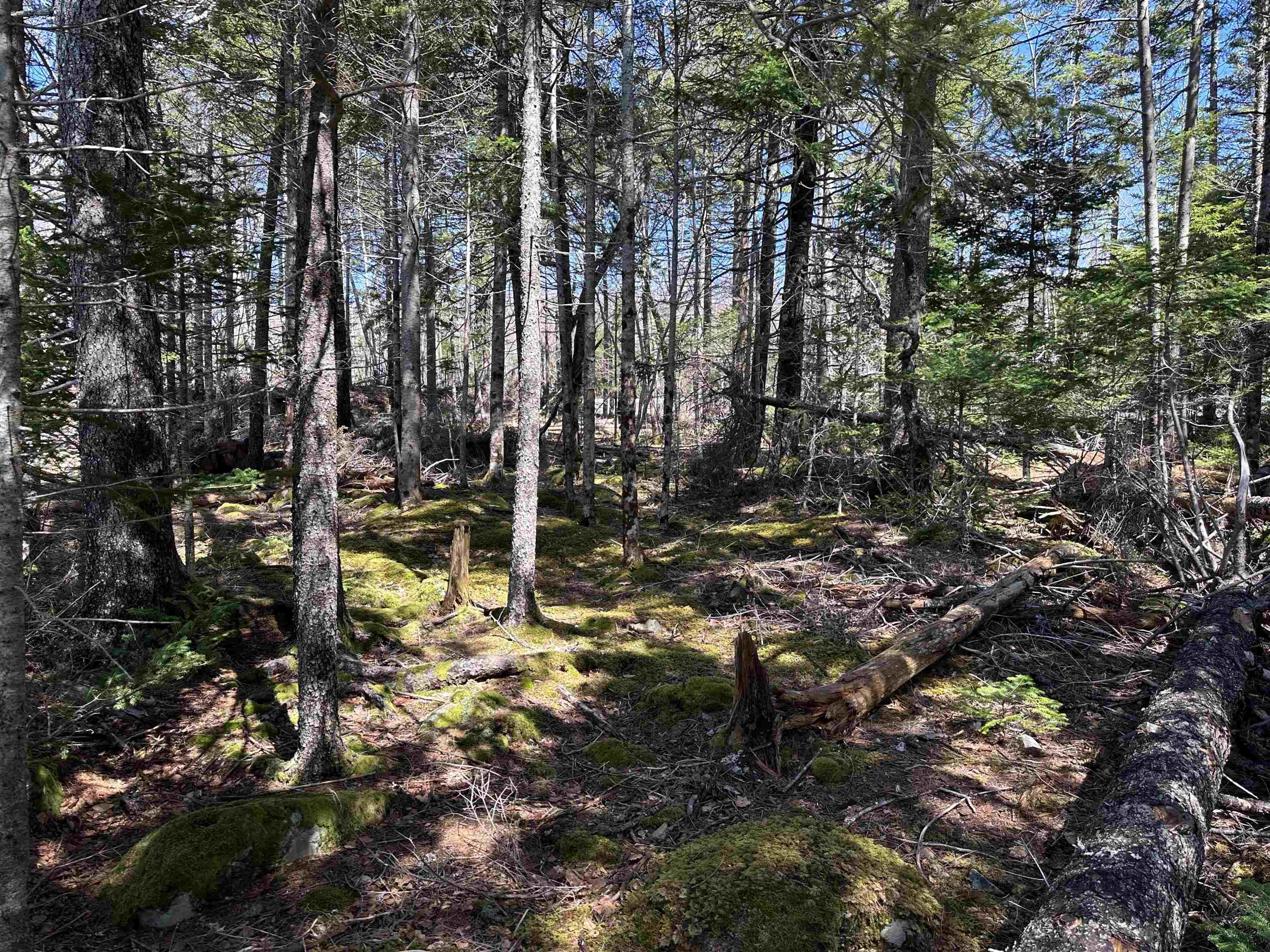 $85,000.00: 28 Hummingbird Lane, Lapland