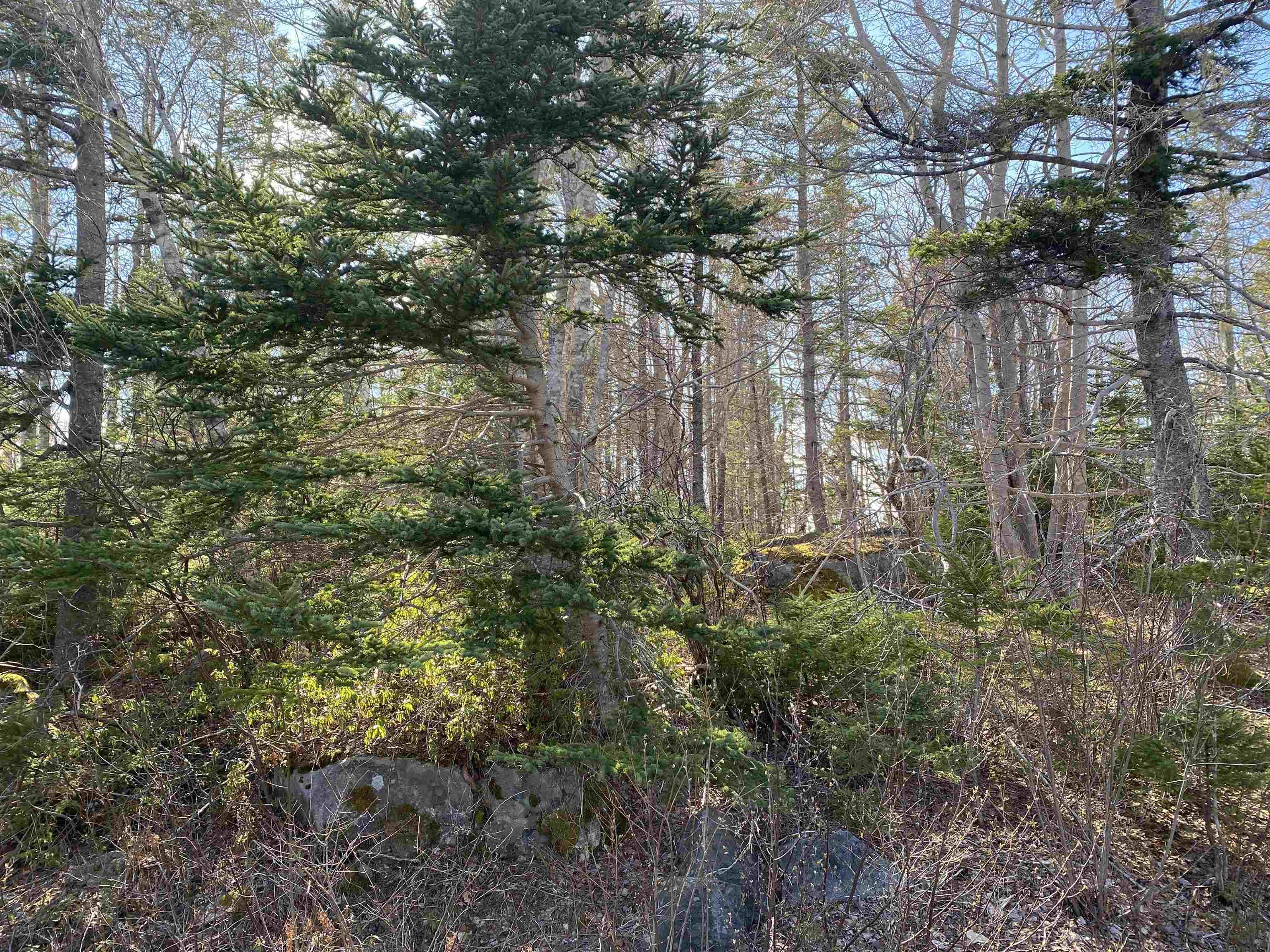 $22,900.00: Lot 10 Eastern Shore Road, Port Medway