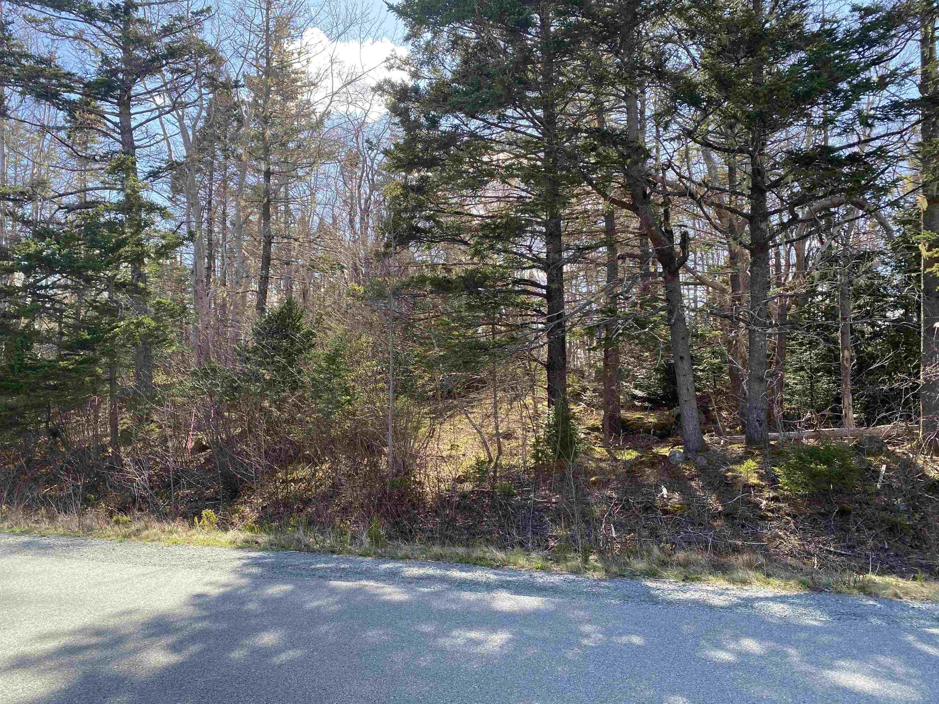 $22,900.00: Lot 10 Eastern Shore Road, Port Medway