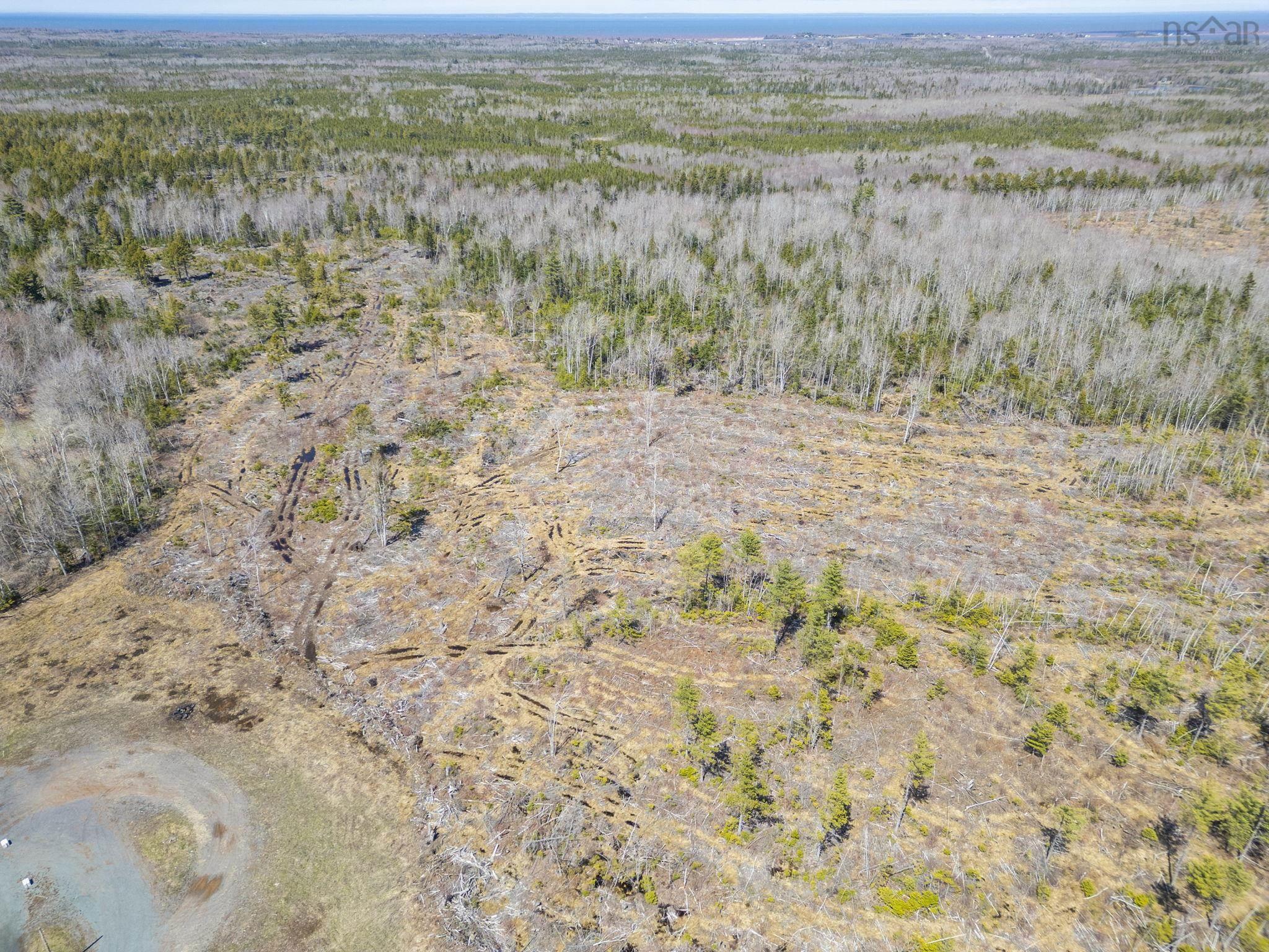 7013 6 Highway, Three Brooks, NS (MLS® 202609858)
