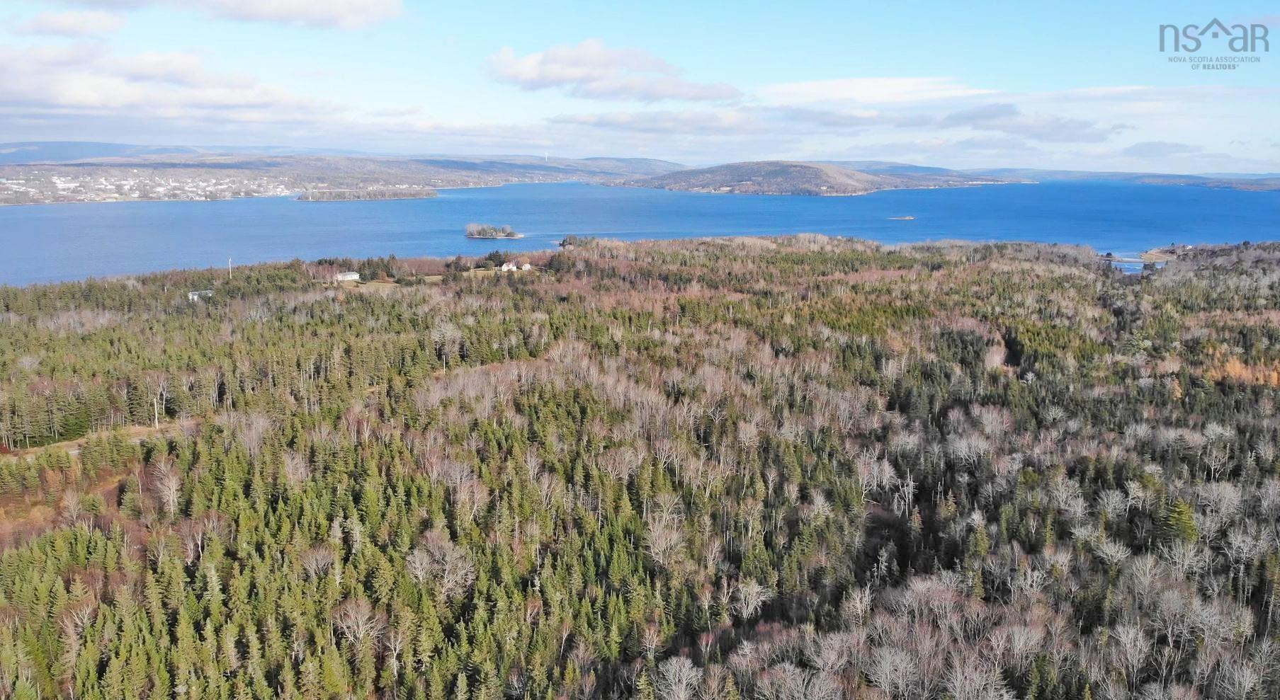 $95,000.00: 46 Acres Washabuck Road, Lower Washabuck