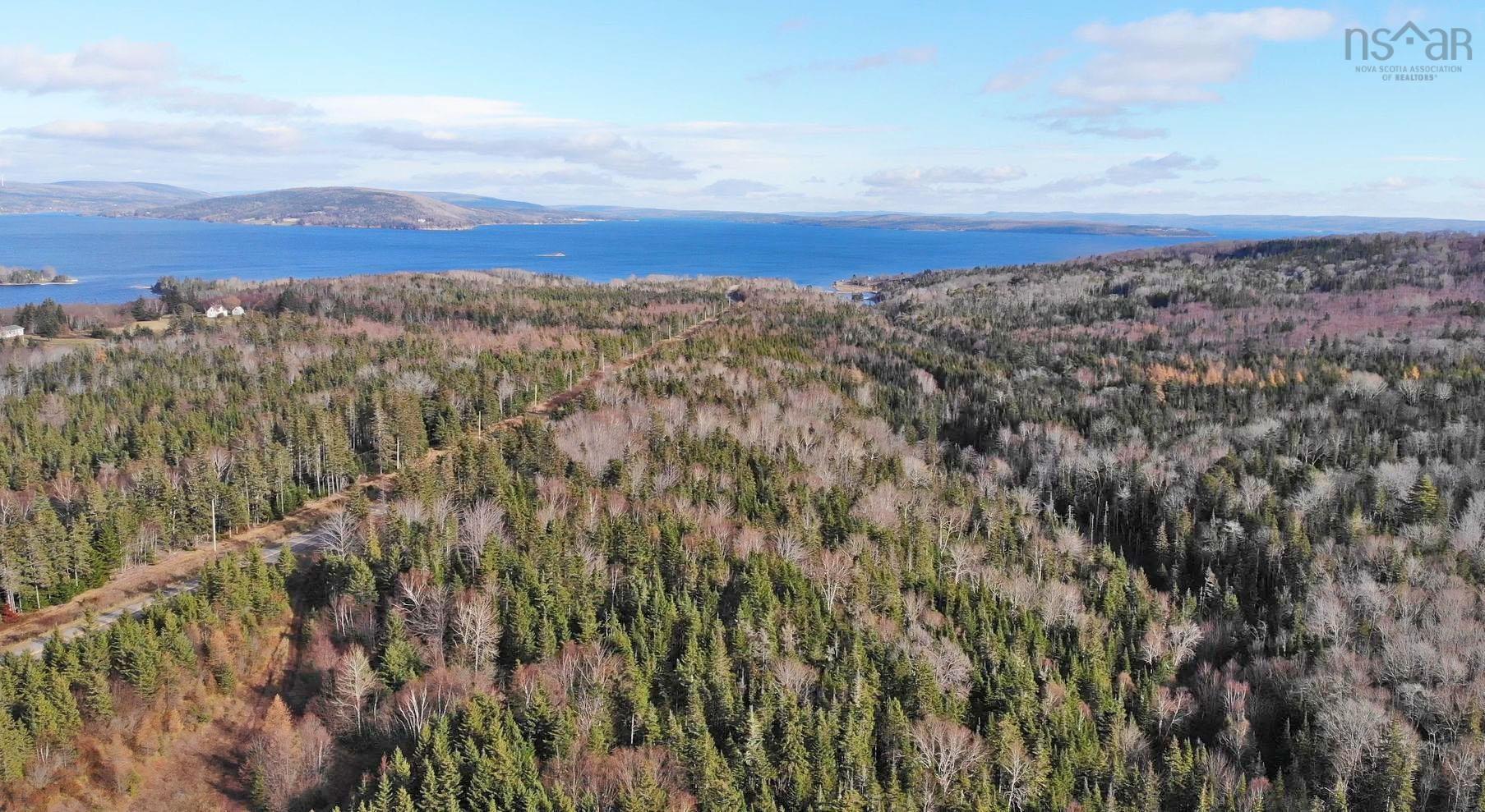 $95,000.00: 46 Acres Washabuck Road, Lower Washabuck
