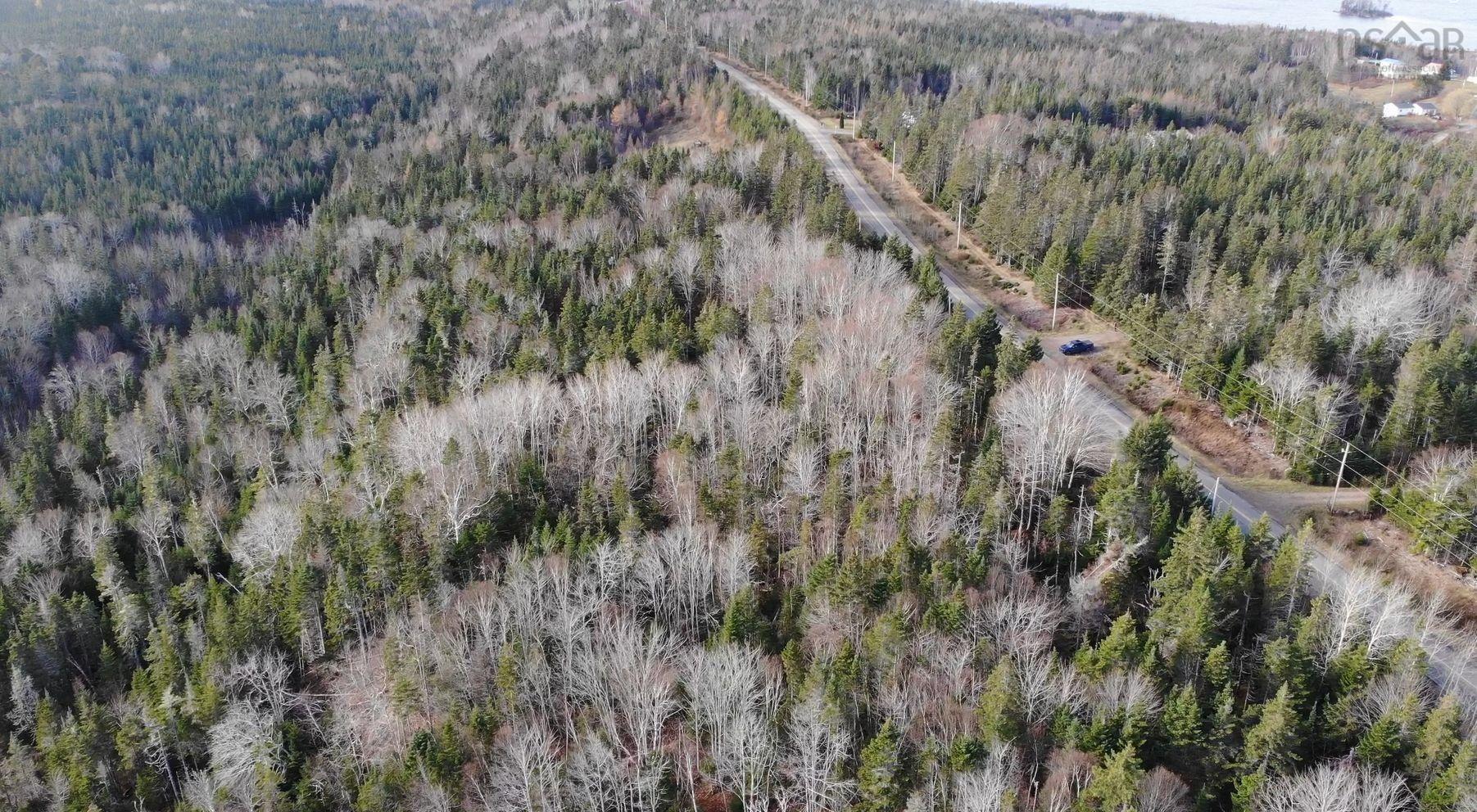 $95,000.00: 46 Acres Washabuck Road, Lower Washabuck
