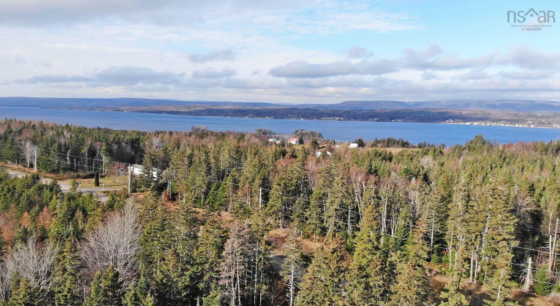 $95,000.00: 46 Acres Washabuck Road, Lower Washabuck