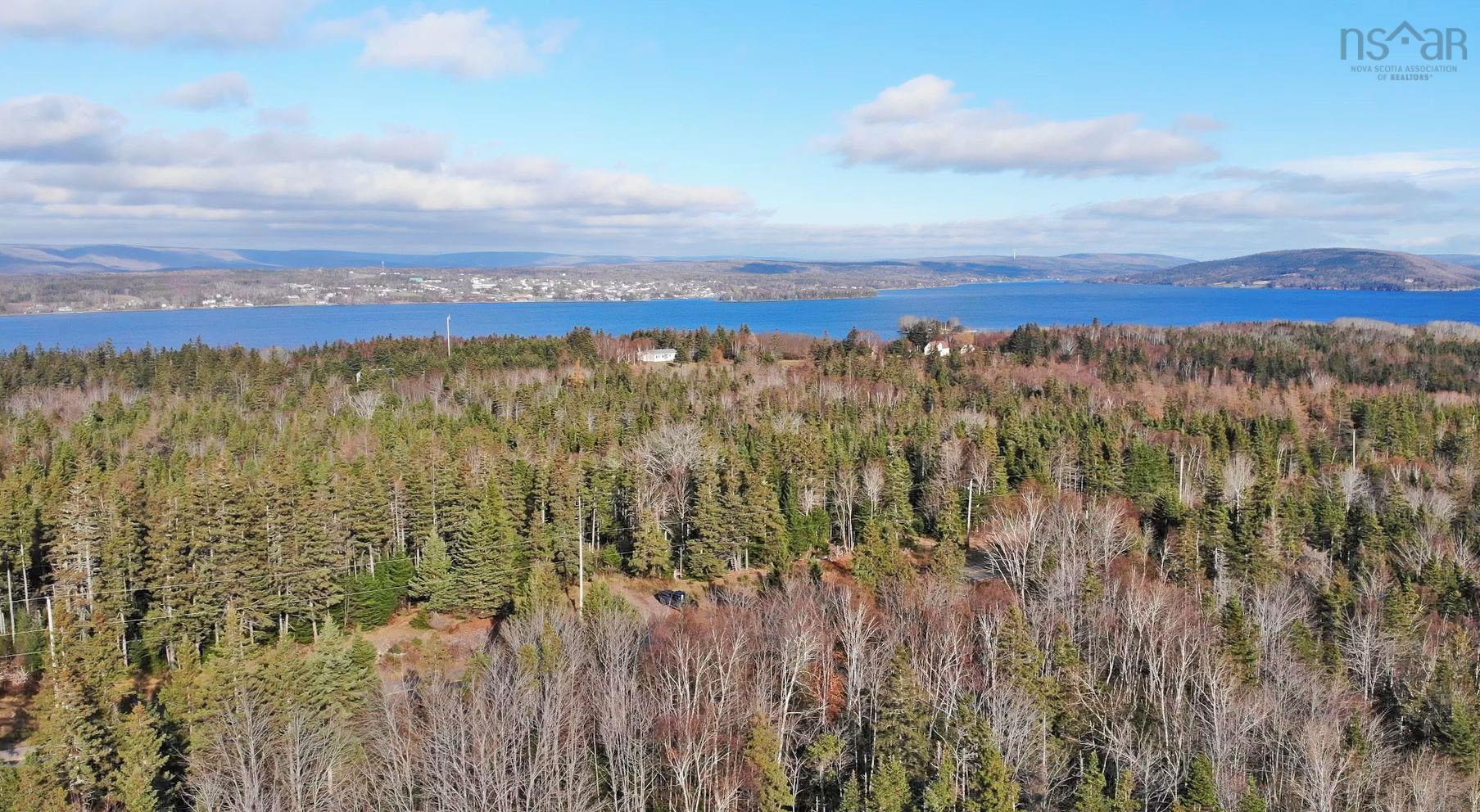 $95,000.00: 46 Acres Washabuck Road, Lower Washabuck