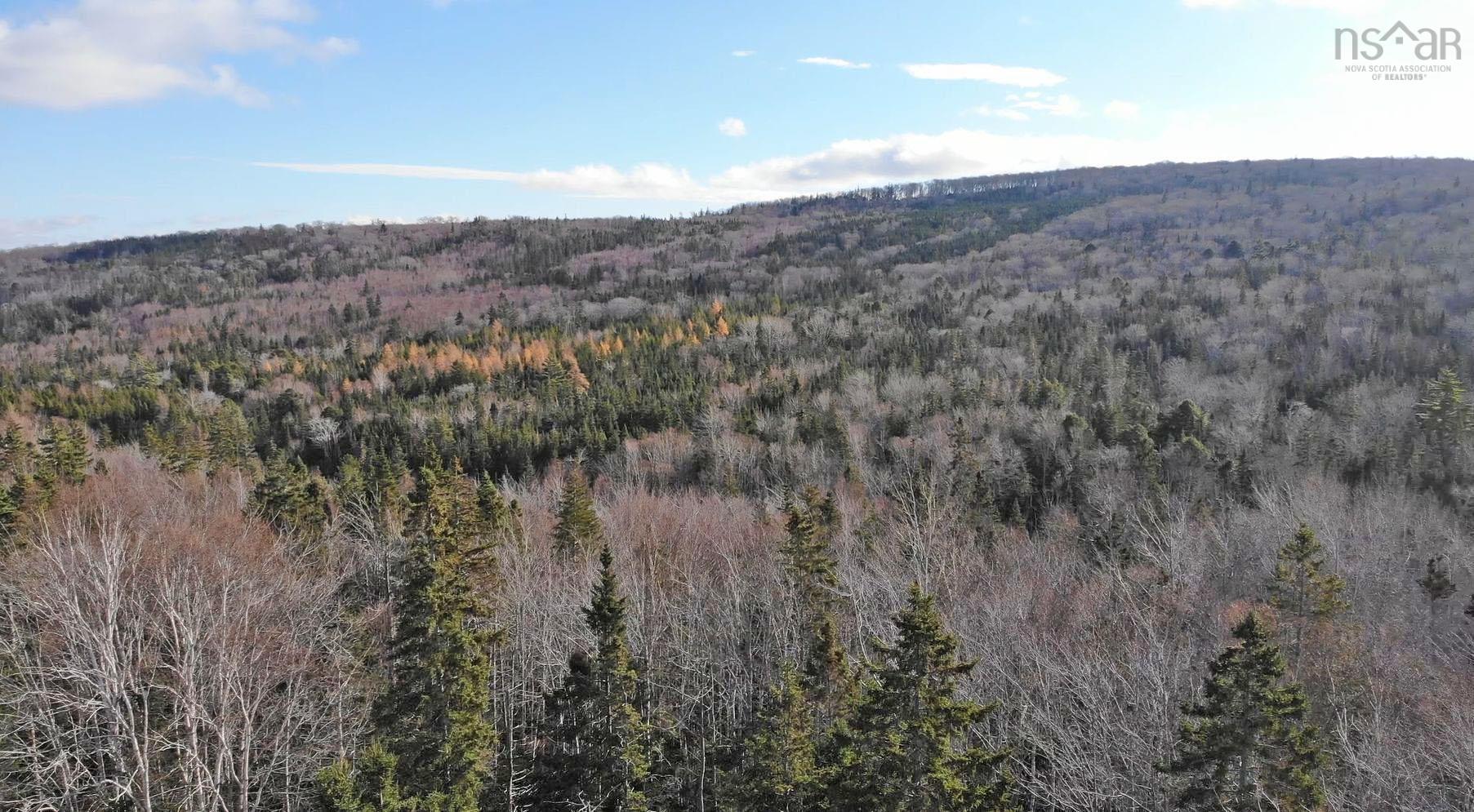 $95,000.00: 46 Acres Washabuck Road, Lower Washabuck