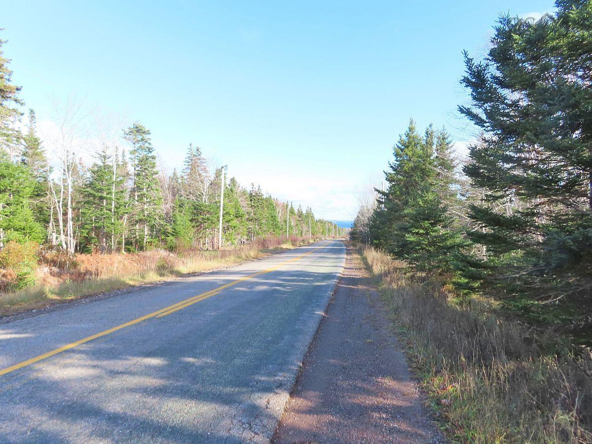 $95,000.00: 46 Acres Washabuck Road, Lower Washabuck