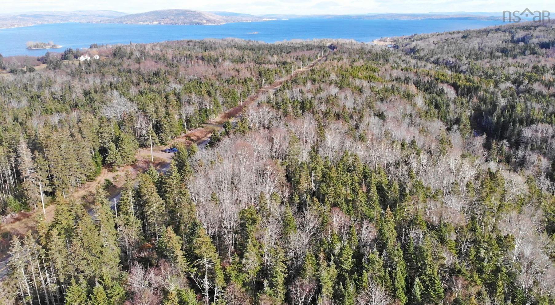 $95,000.00: 46 Acres Washabuck Road, Lower Washabuck