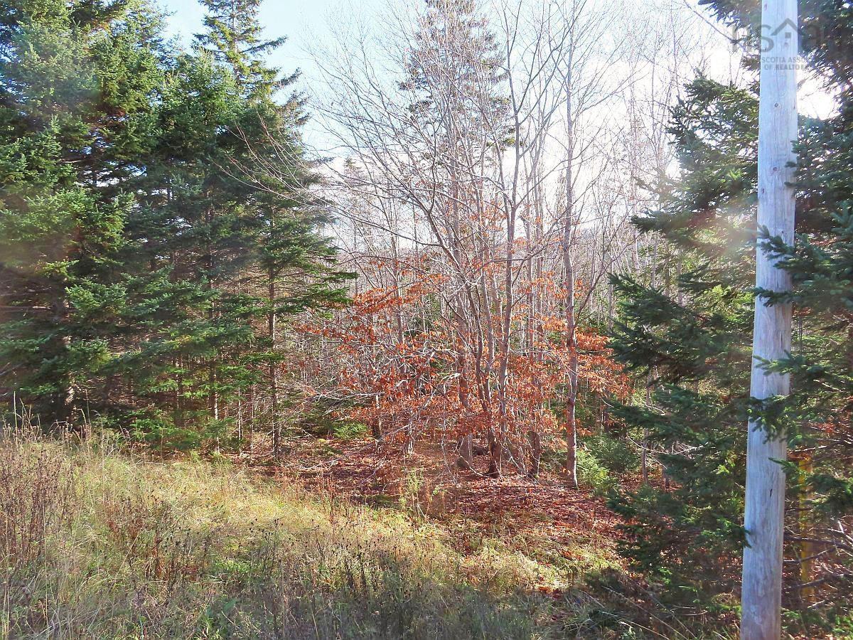 $95,000.00: 46 Acres Washabuck Road, Lower Washabuck