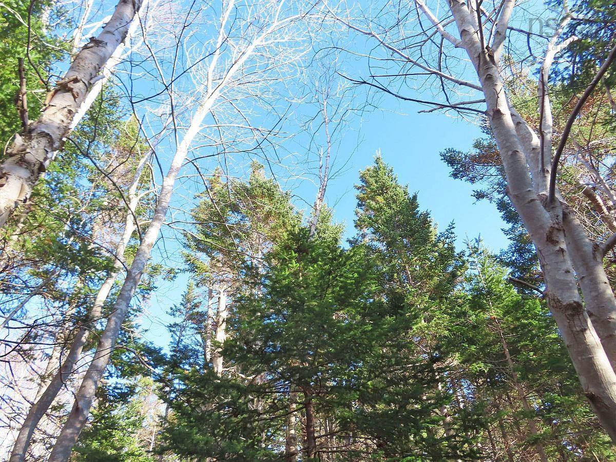 $95,000.00: 46 Acres Washabuck Road, Lower Washabuck