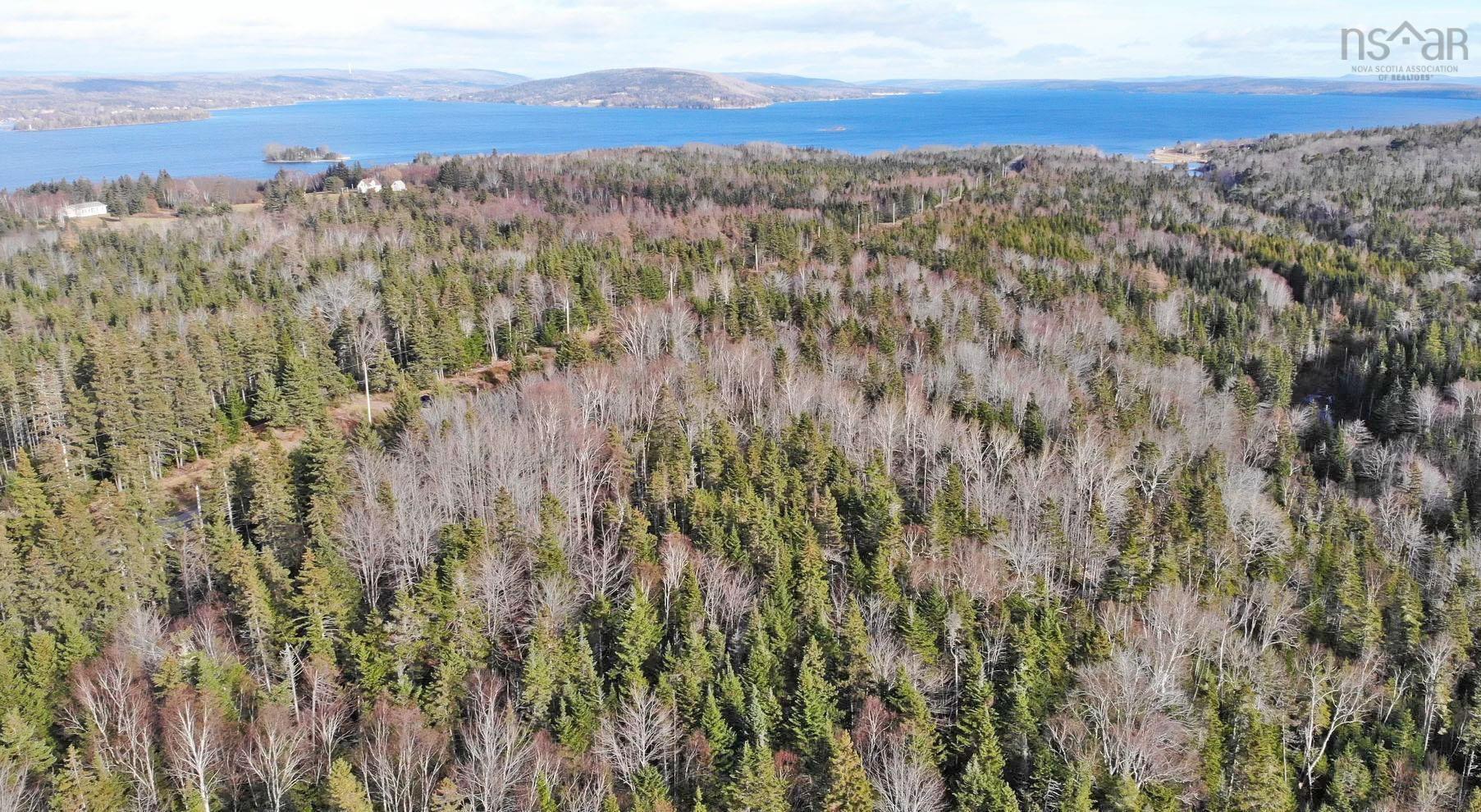 $95,000.00: 46 Acres Washabuck Road, Lower Washabuck