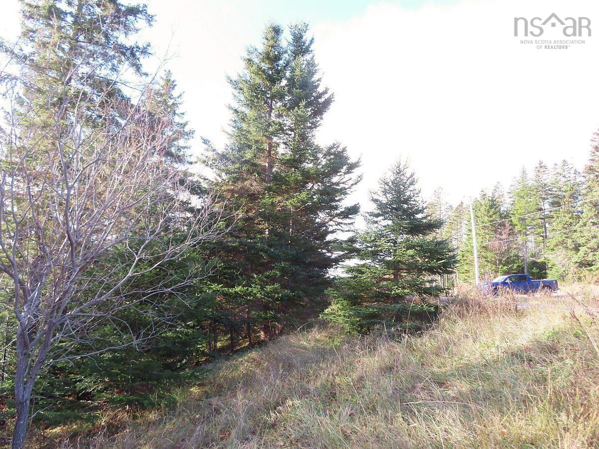 $95,000.00: 46 Acres Washabuck Road, Lower Washabuck
