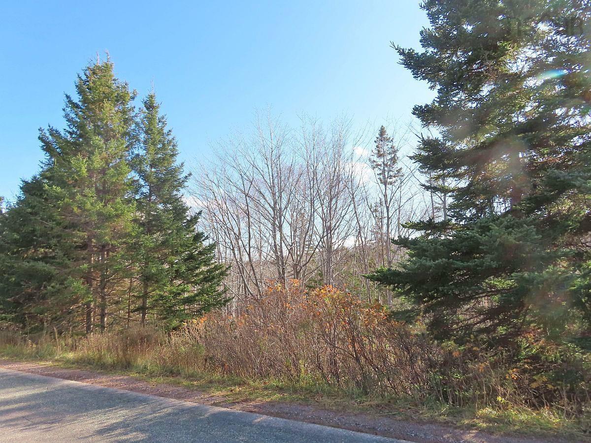 $95,000.00: 46 Acres Washabuck Road, Lower Washabuck