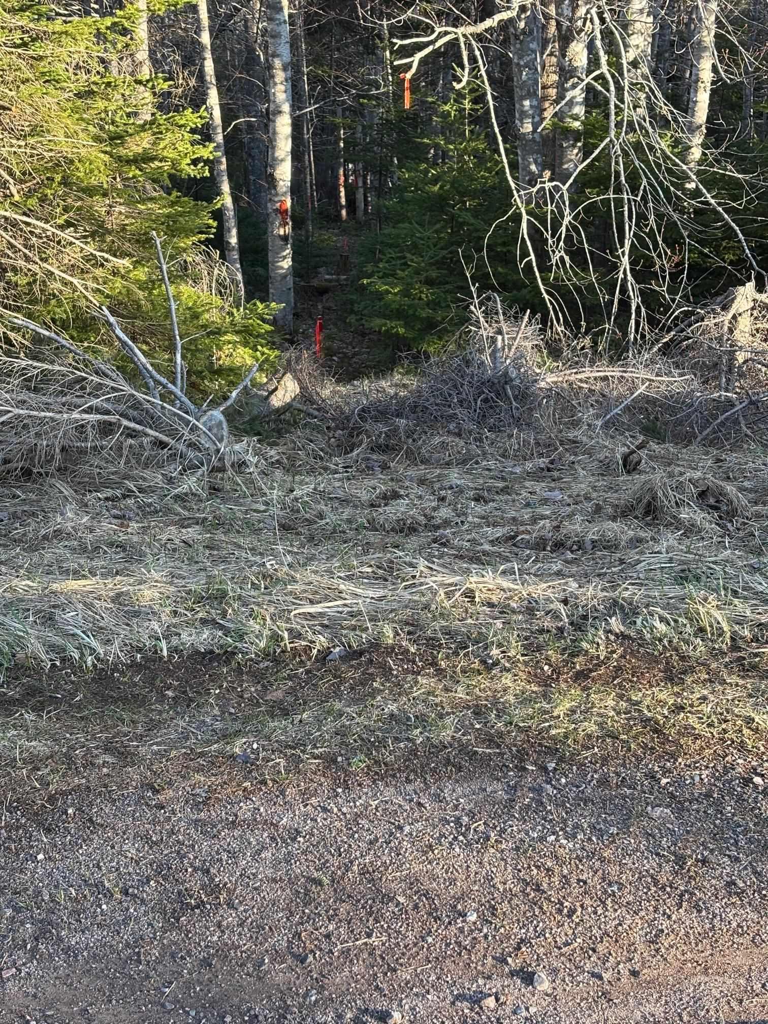 $95,000.00: 46 Acres Washabuck Road, Lower Washabuck