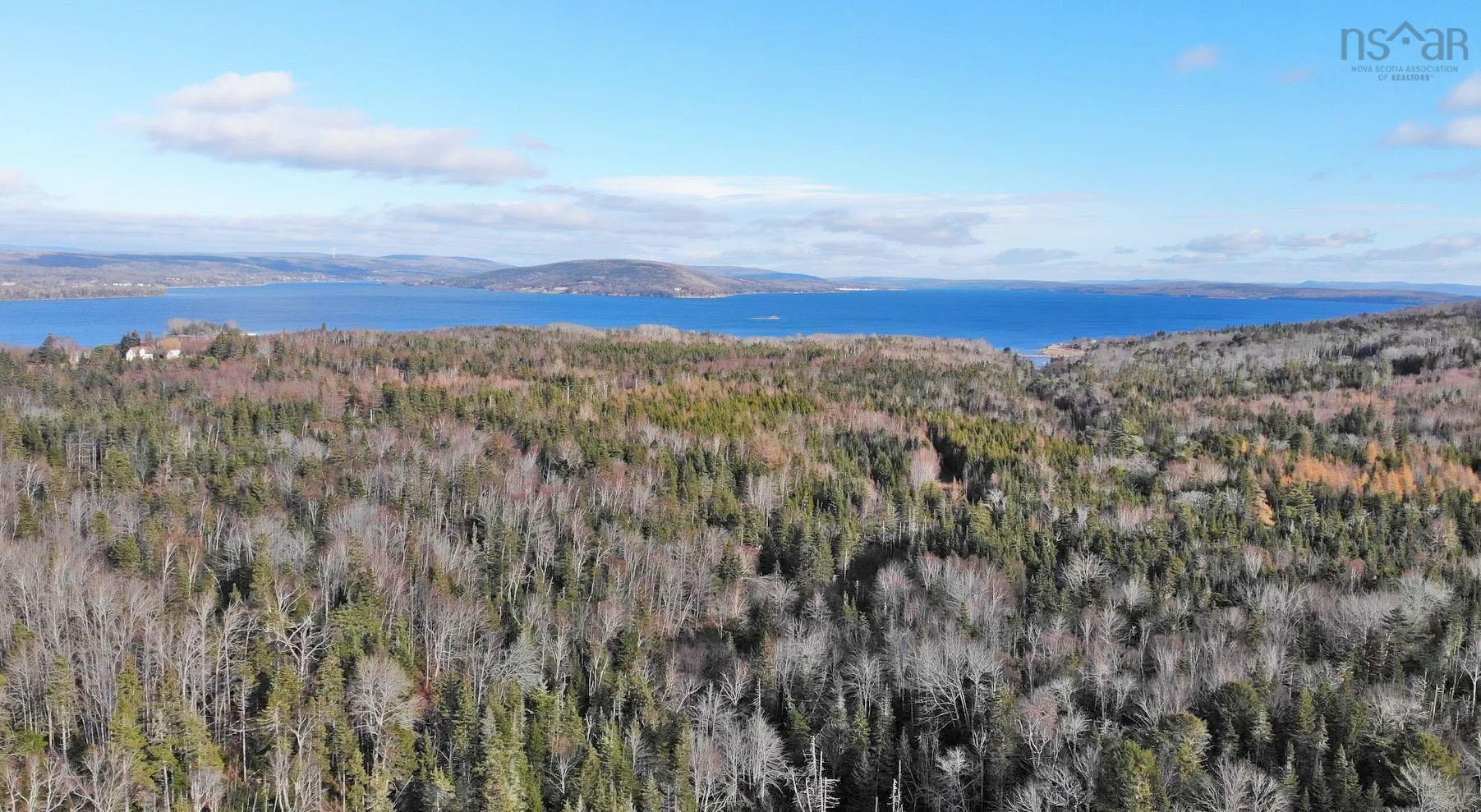 $95,000.00: 46 Acres Washabuck Road, Lower Washabuck