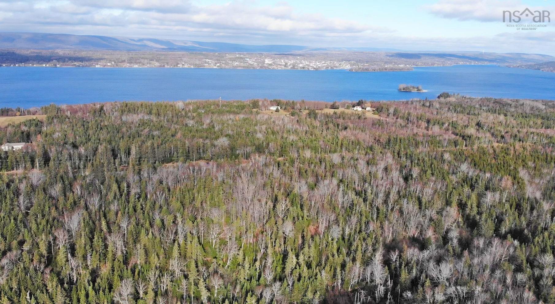 $95,000.00: 46 Acres Washabuck Road, Lower Washabuck
