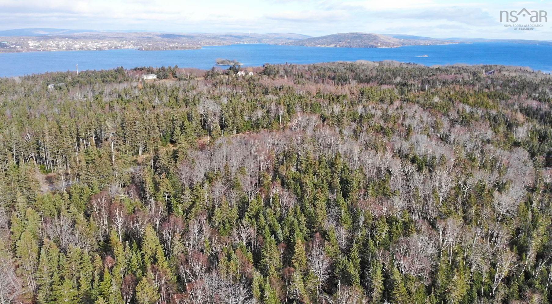 $95,000.00: 46 Acres Washabuck Road, Lower Washabuck