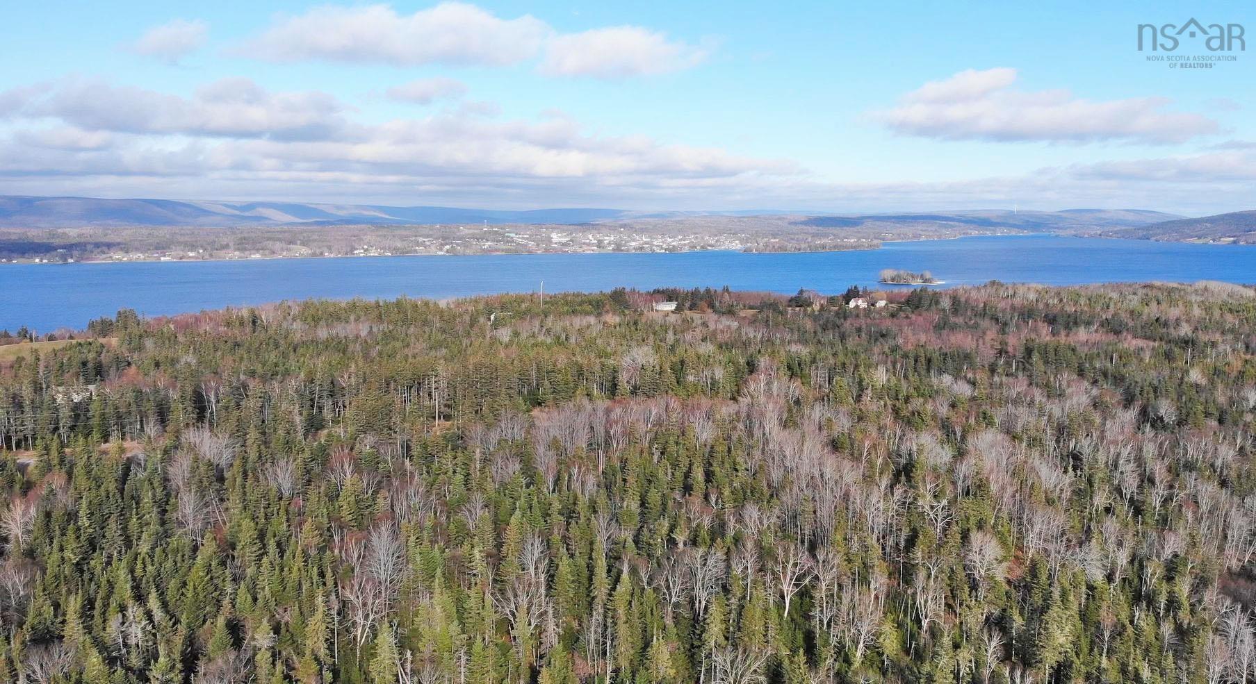 $95,000.00: 46 Acres Washabuck Road, Lower Washabuck