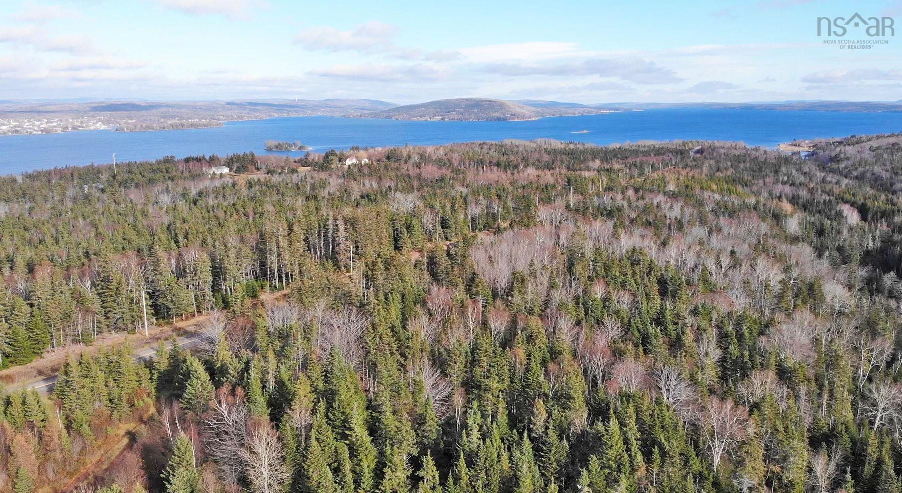 $95,000.00: 46 Acres Washabuck Road, Lower Washabuck