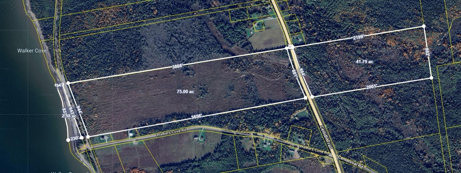 $475,000.00: Walkers Cove Road, Judique South