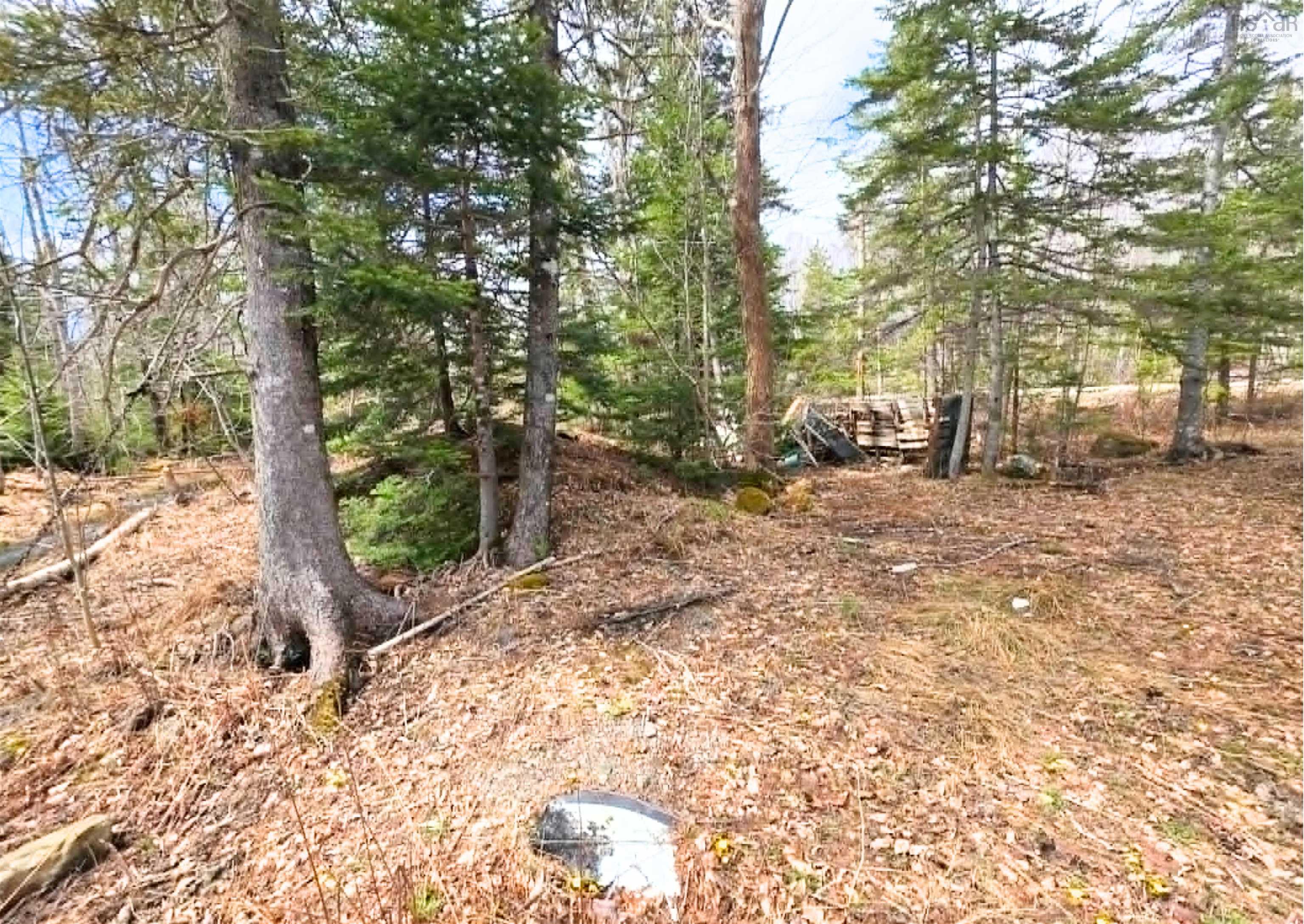 $33,000.00: 0 Upper Leitches Creek Road, Cape Breton