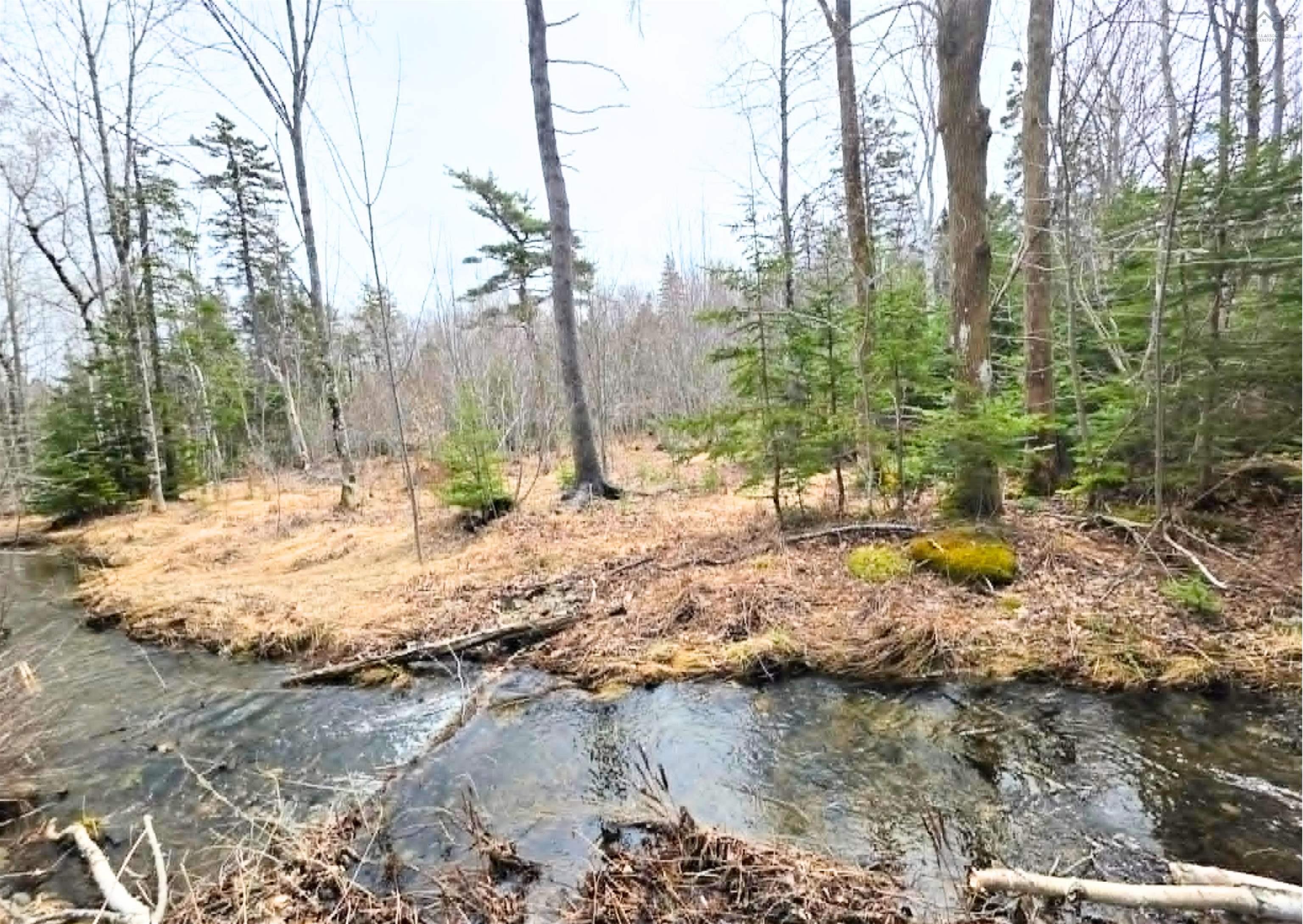 $33,000.00: 0 Upper Leitches Creek Road, Cape Breton