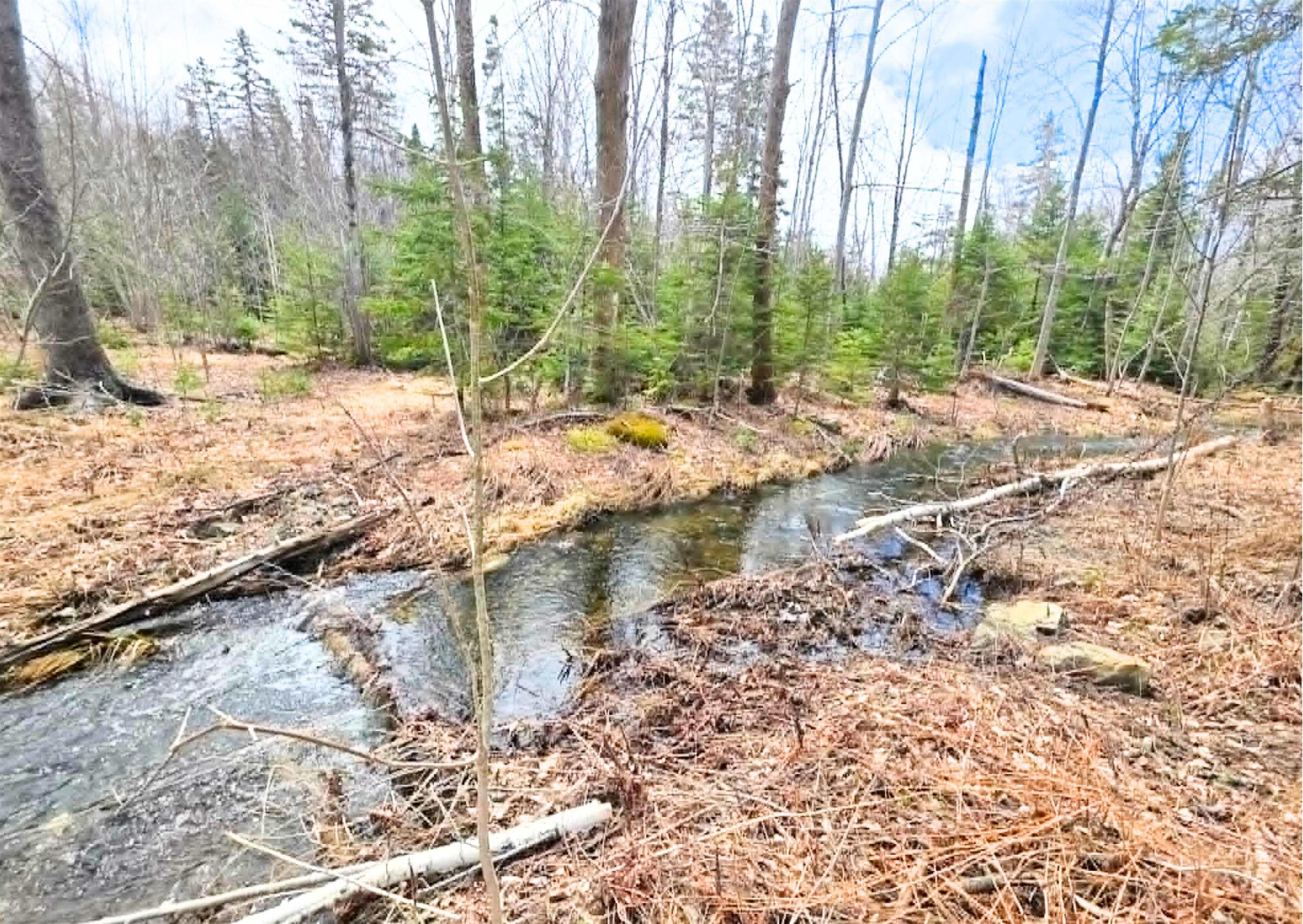 $33,000.00: 0 Upper Leitches Creek Road, Cape Breton