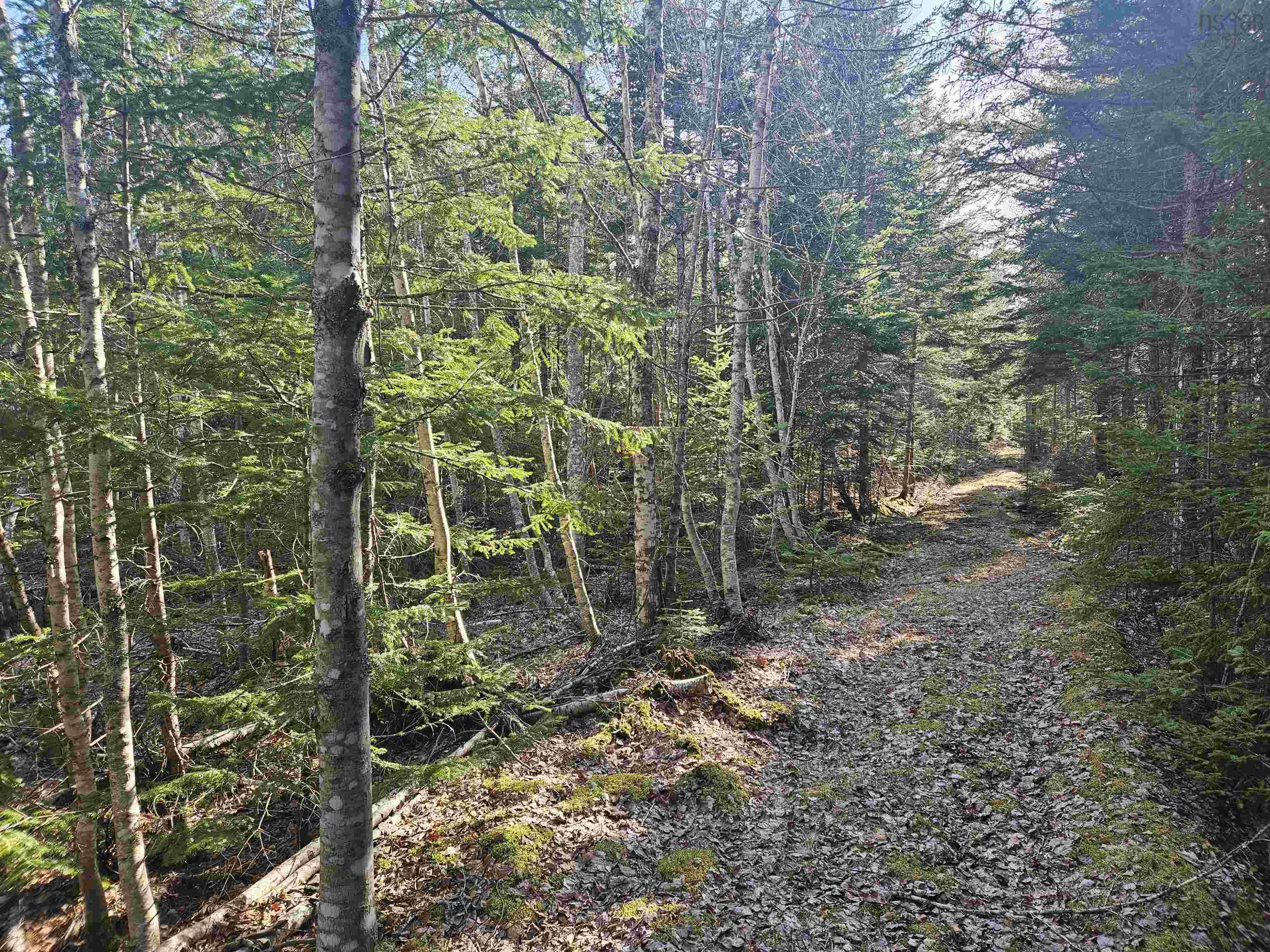 $74,900.00: V/L 368 Highway, Wentworth