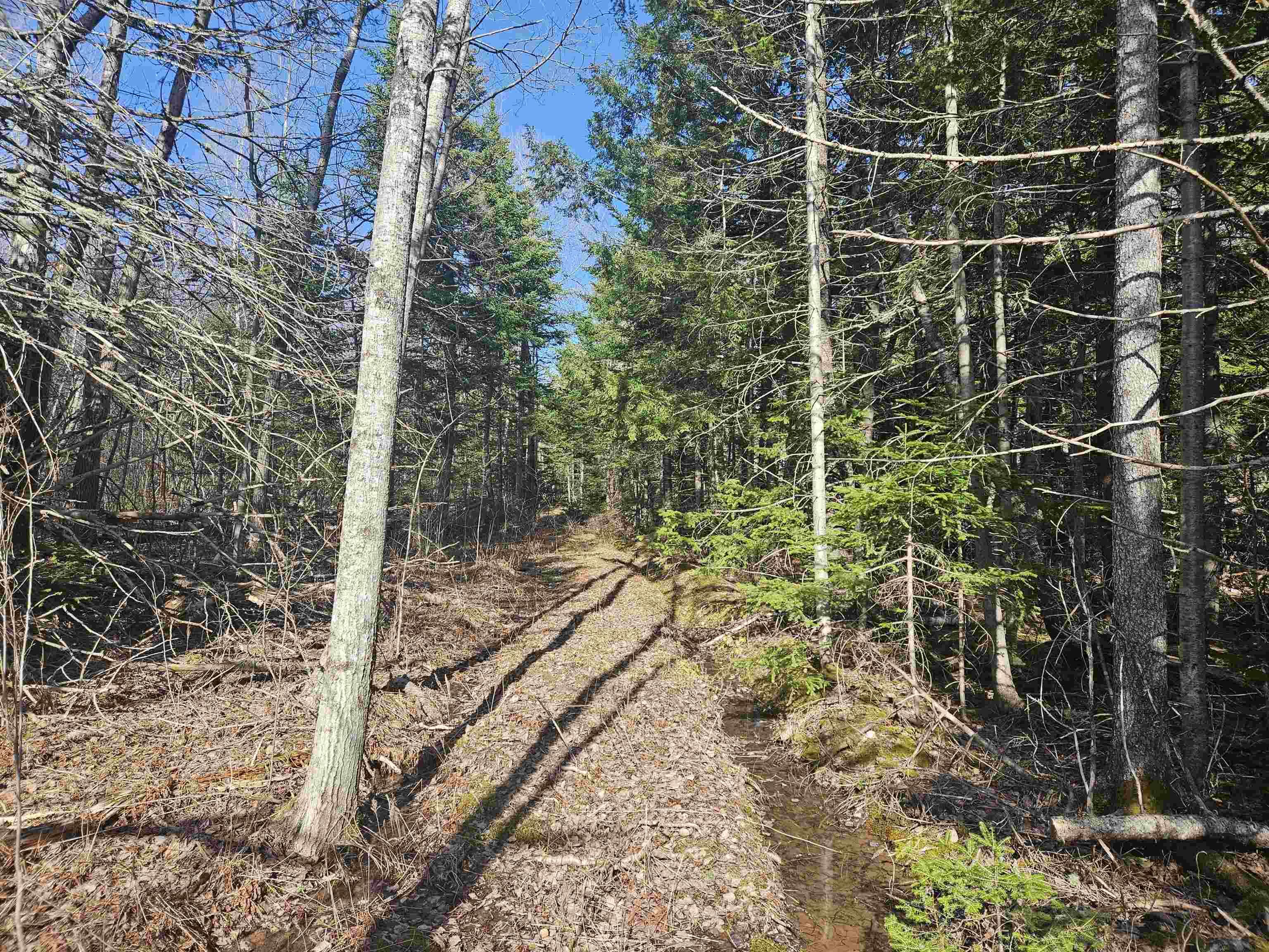 $74,900.00: V/L 368 Highway, Wentworth